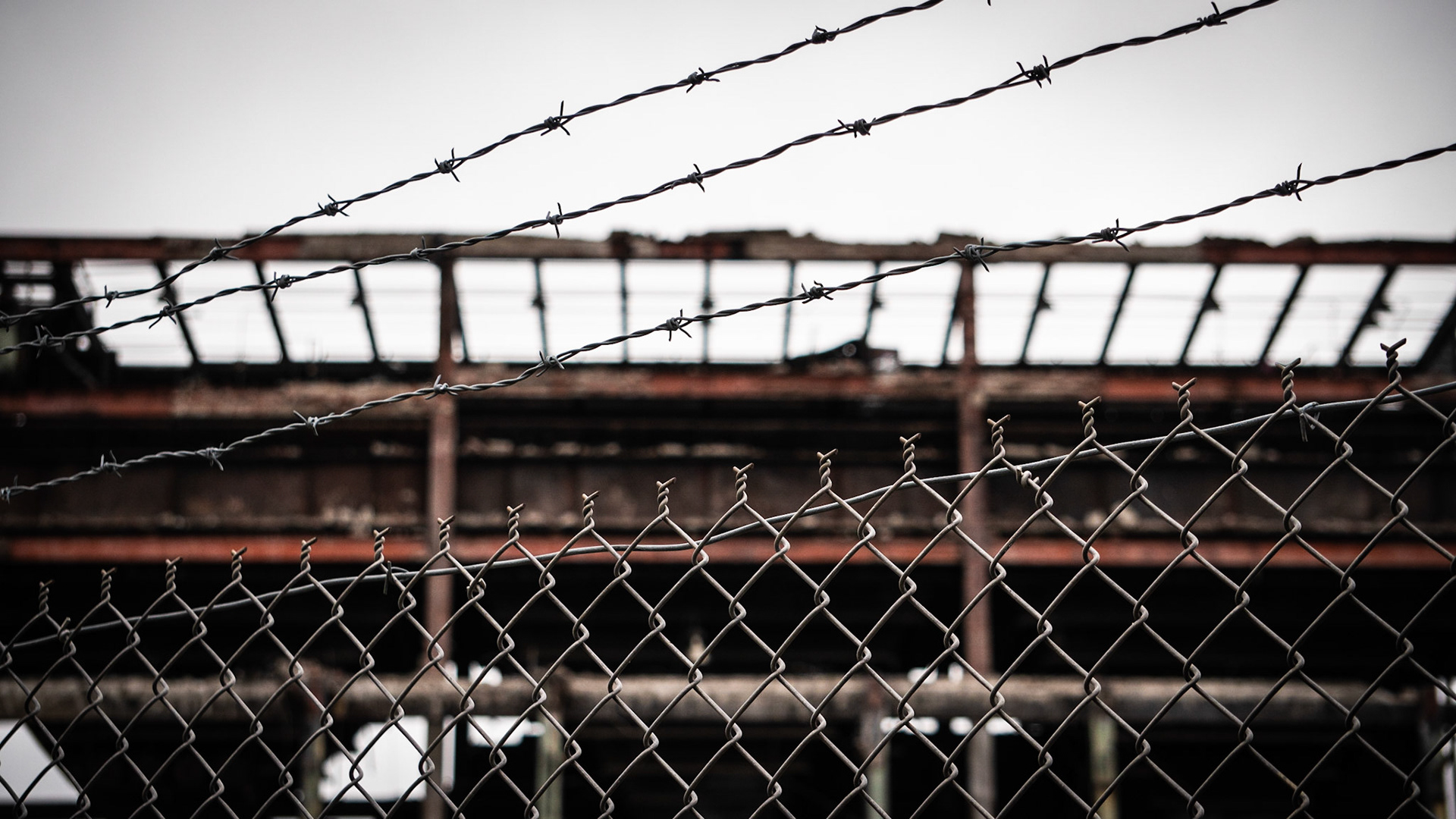 derelict 19
