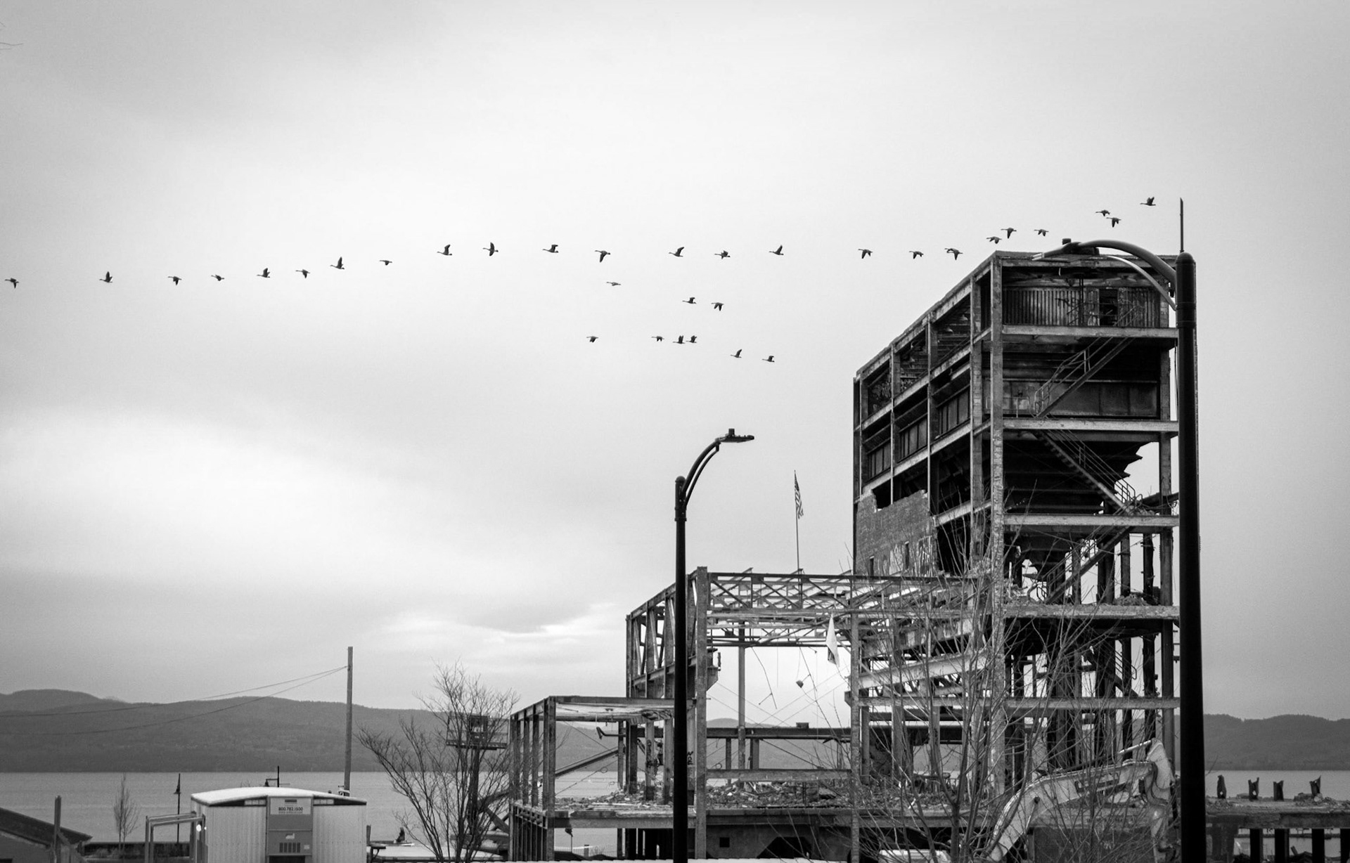 derelict 11