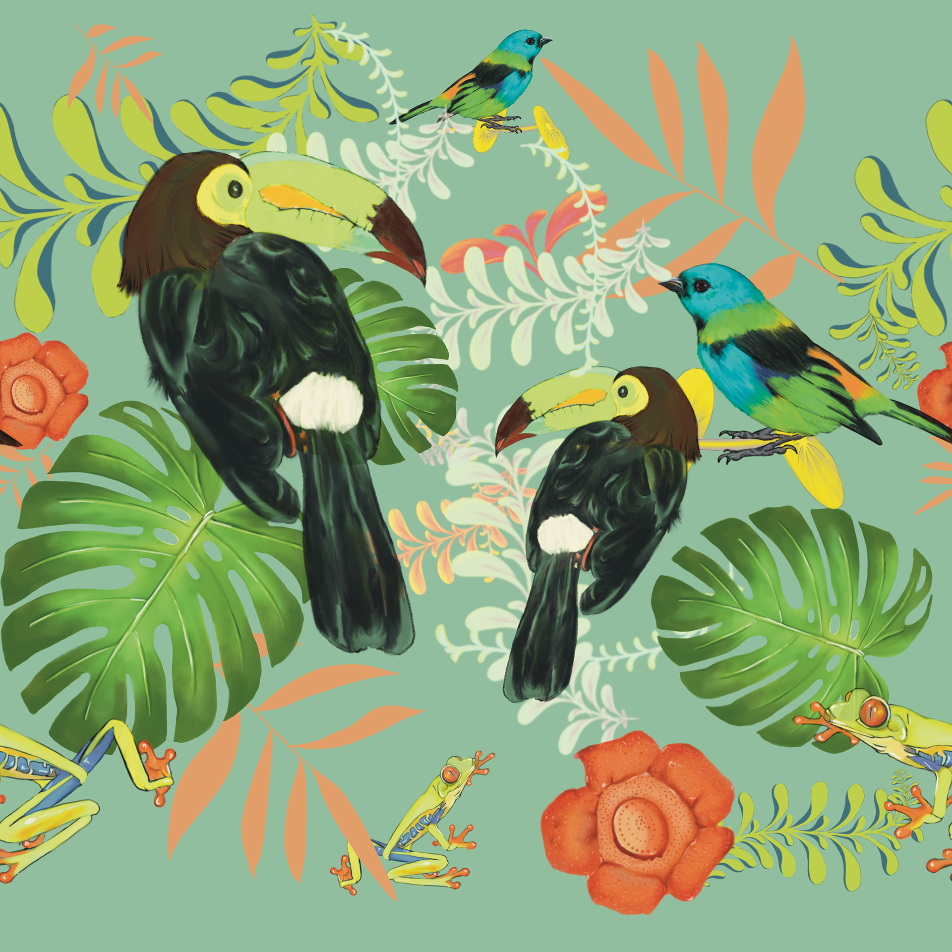 Toucans bright and colourful(S)