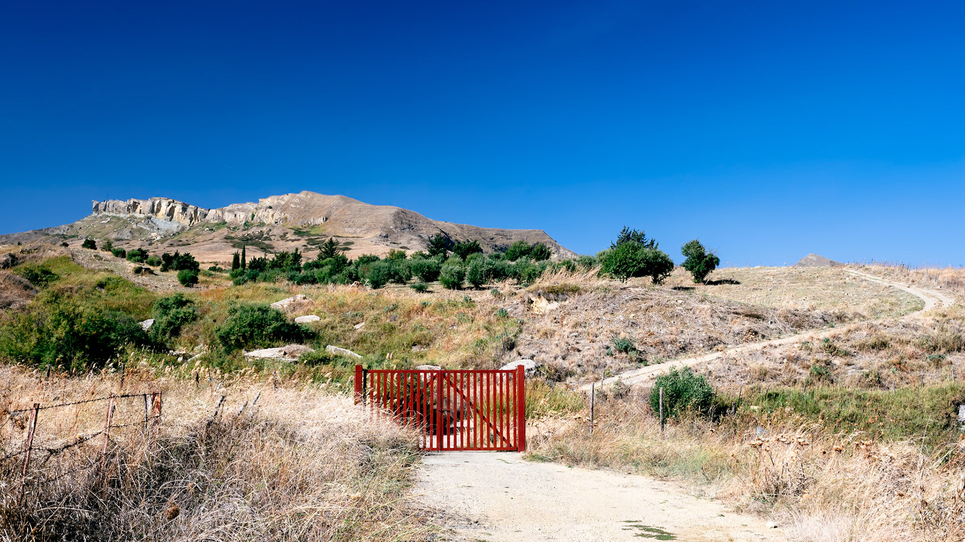 Gate