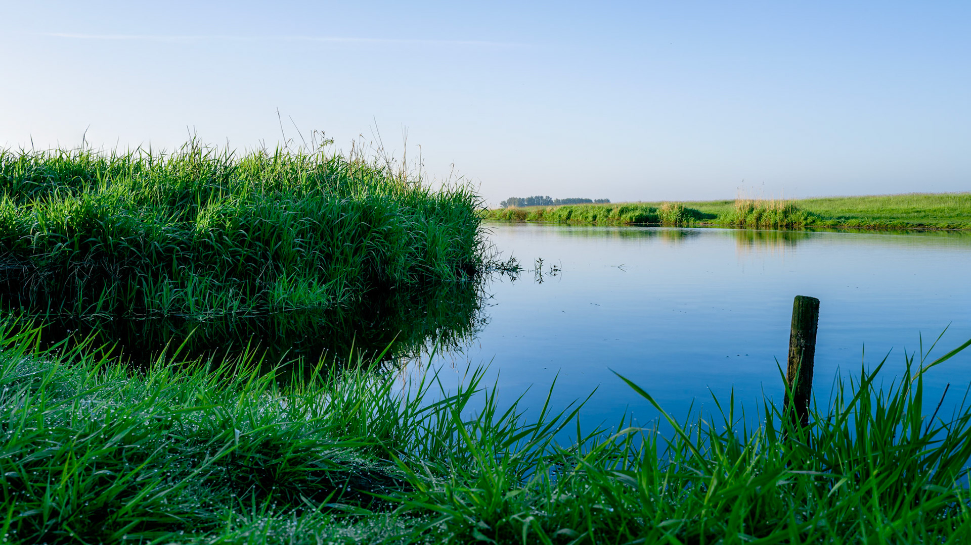 Early Morning Light #1