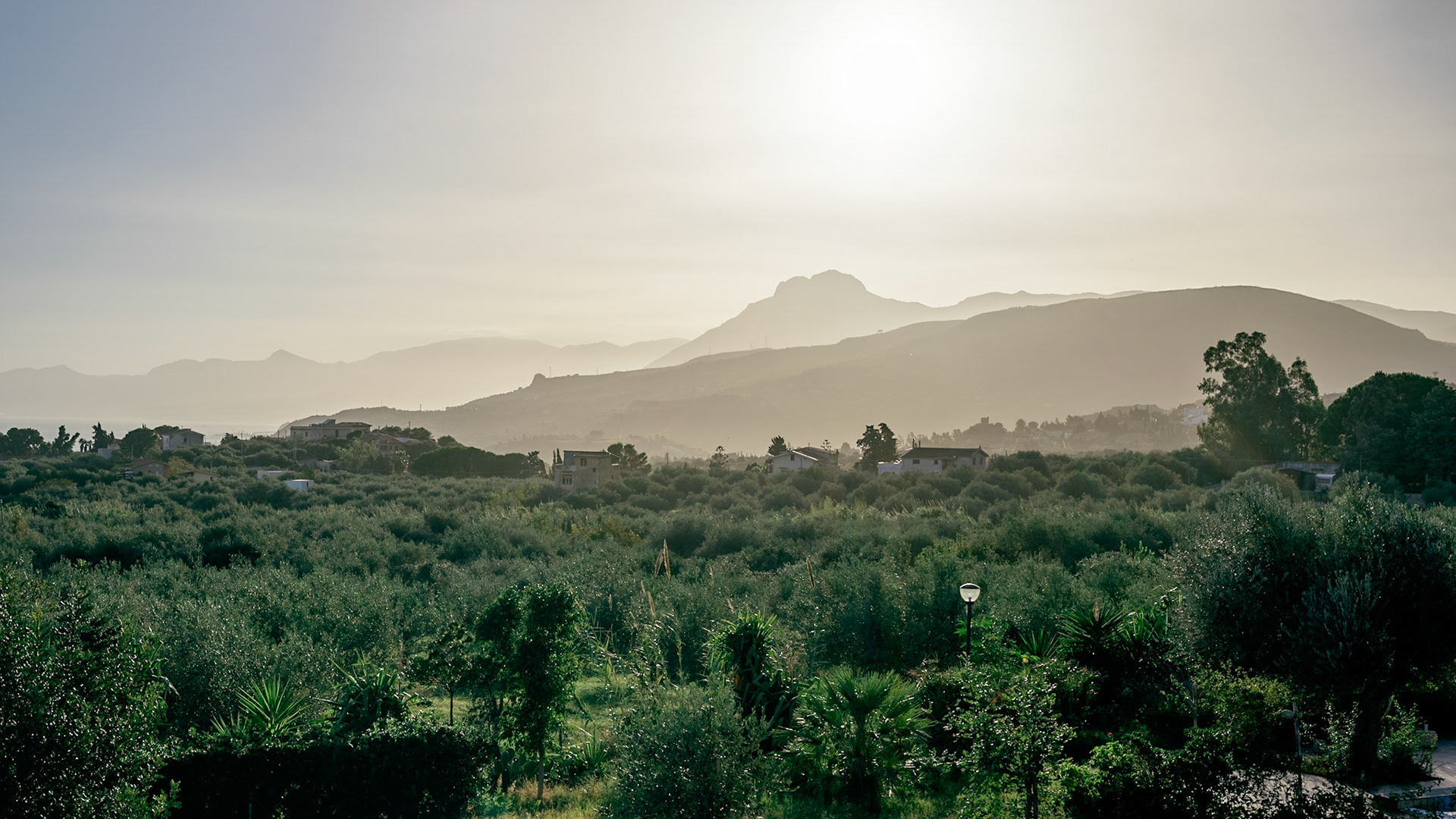 Morning atmosphere