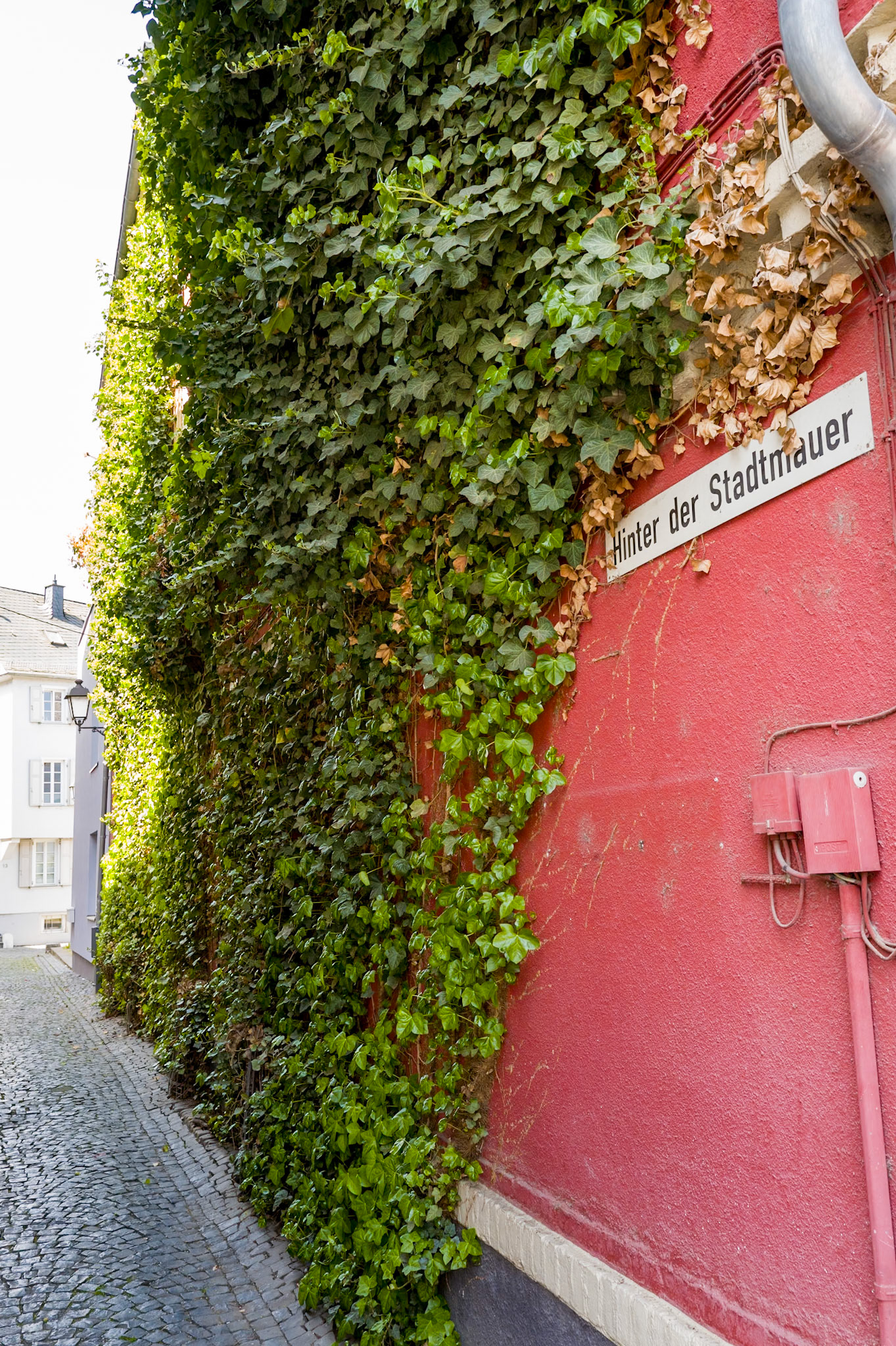 Behind the old City Wall