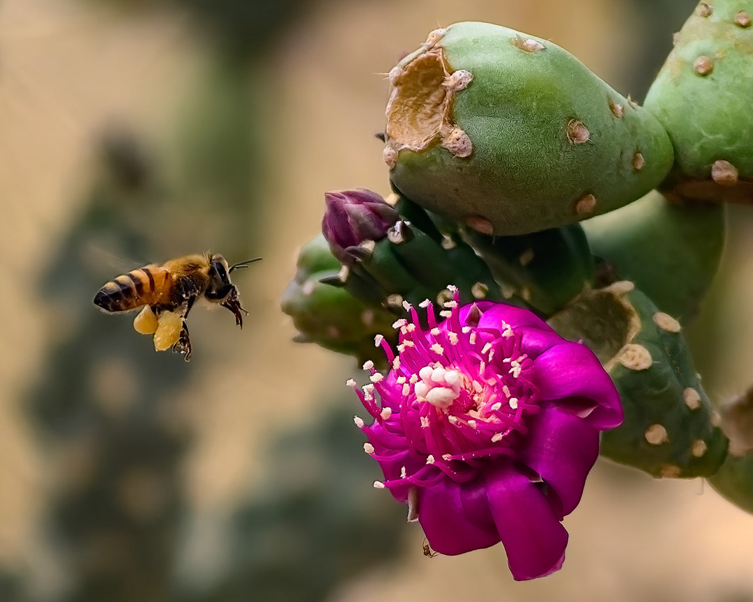 Because 24422 ~ Photography by Mark Myhaver