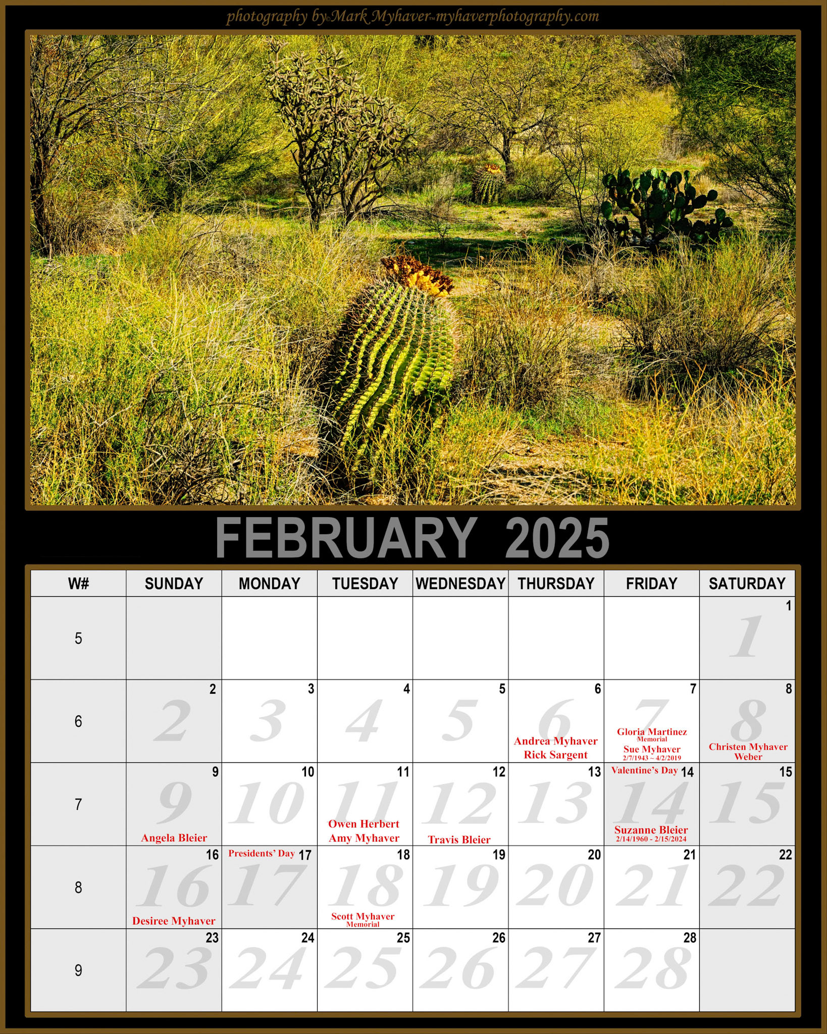 The February 2025 Calendar features "Barriles de Vegetación 25718".A vibrant desert landscape features various cacti and shrubs thriving under the sunlight. Different shapes and sizes of plants create a rich tapestry of green tones.Sonoran DesertOro ValleyArizona USA