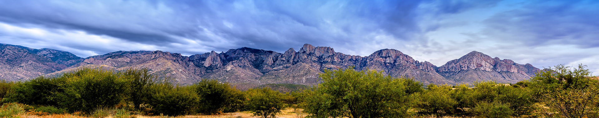 Catalina Mountains P24230 ~ Photography by Mark Myhaver
