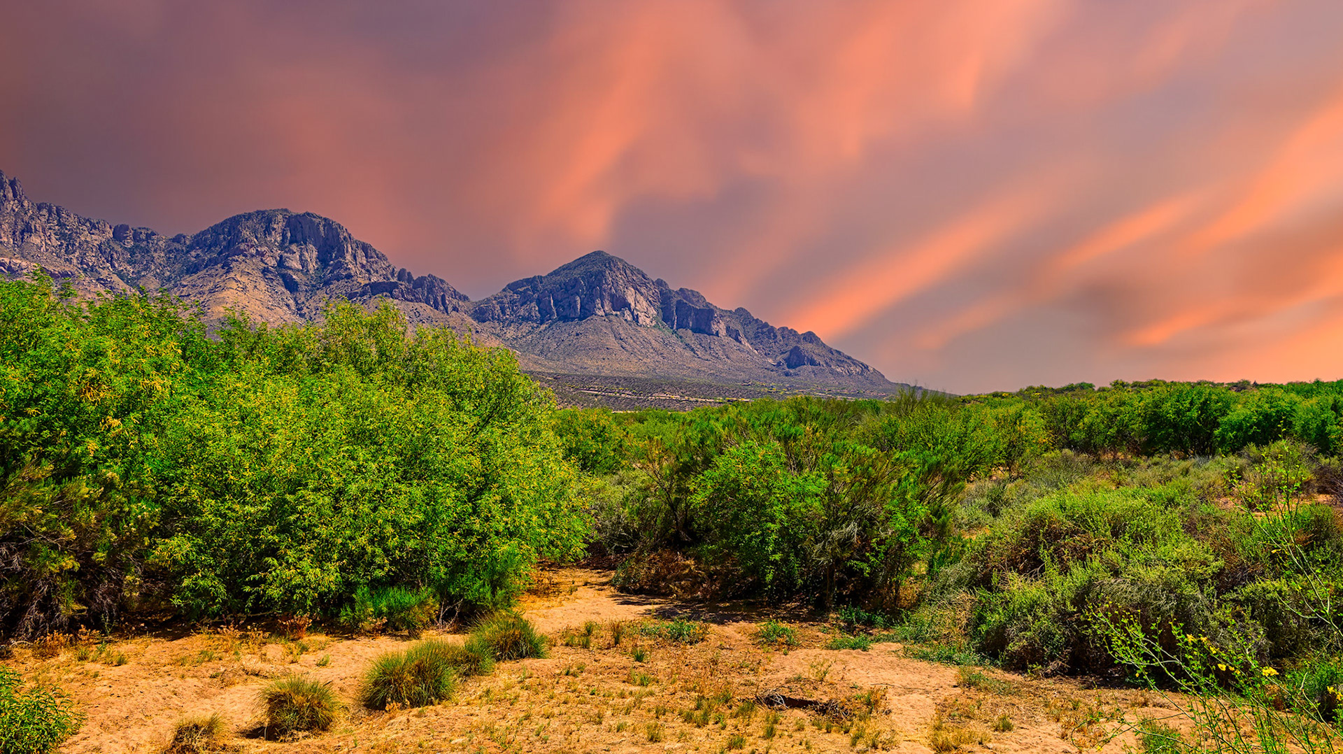 East of Sunset 24832 ~ Photography by Mark Myhaver