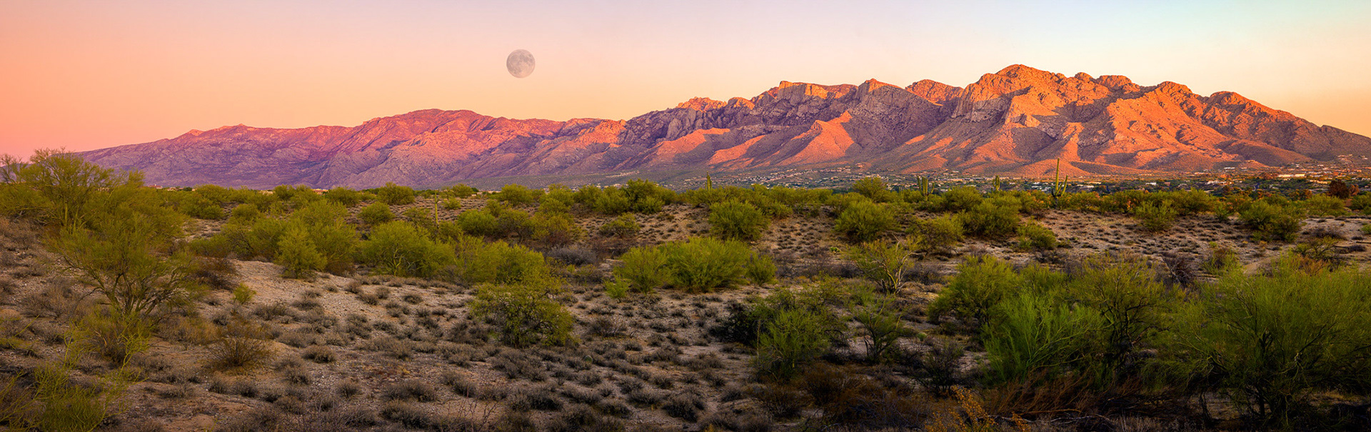 Oro Valley Vista SE24482 ~ Photography by Mark Myhaver