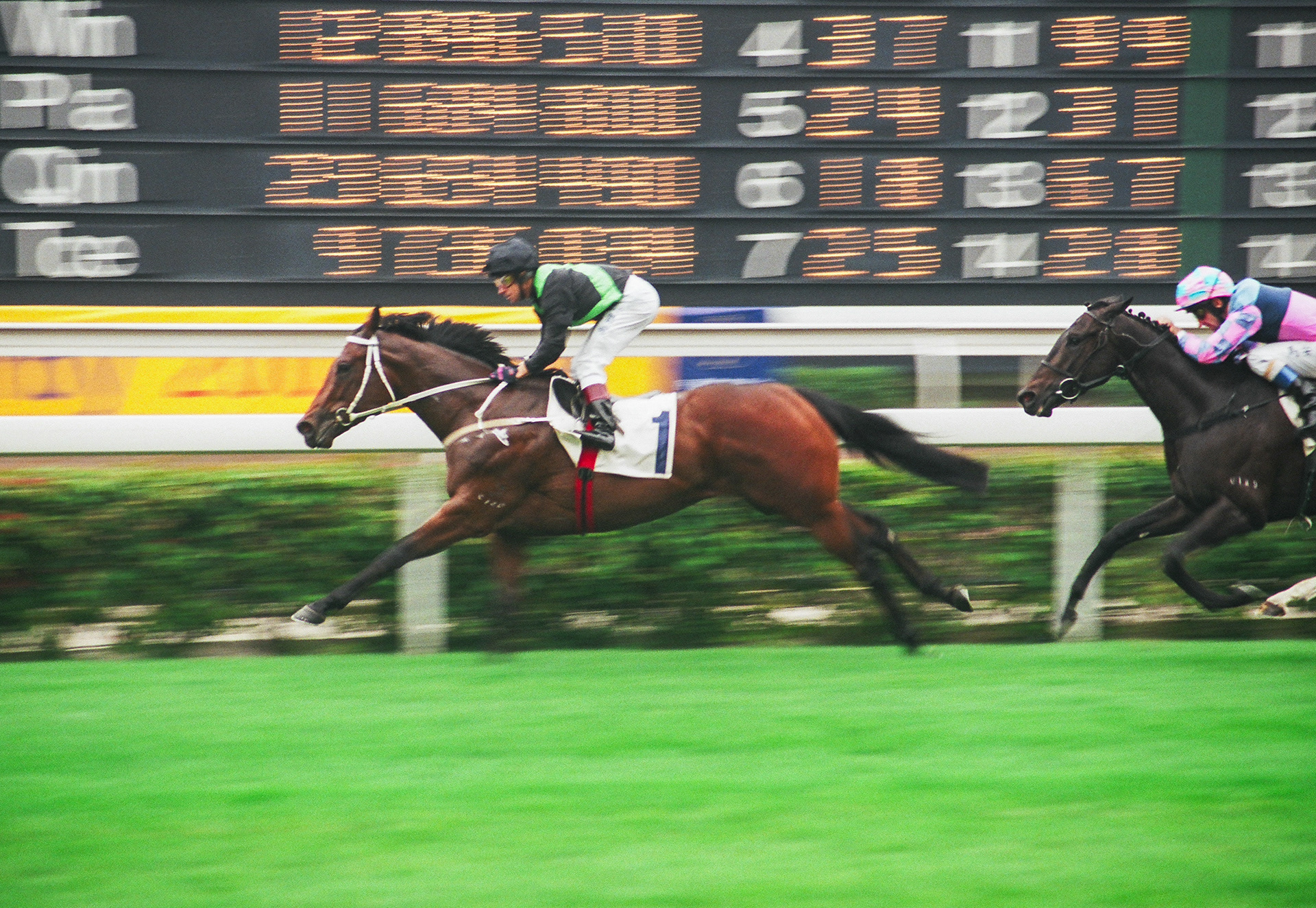  	 	SILENT WITNESS(F Coetzee)精英大師(高雅志)