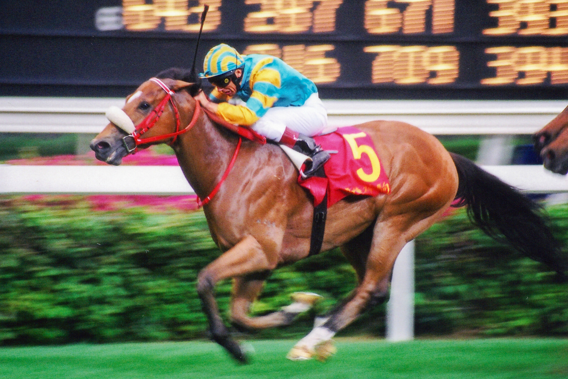  	 	FIREBOLT(L Dettori)勇捷神駒(戴圖理 )