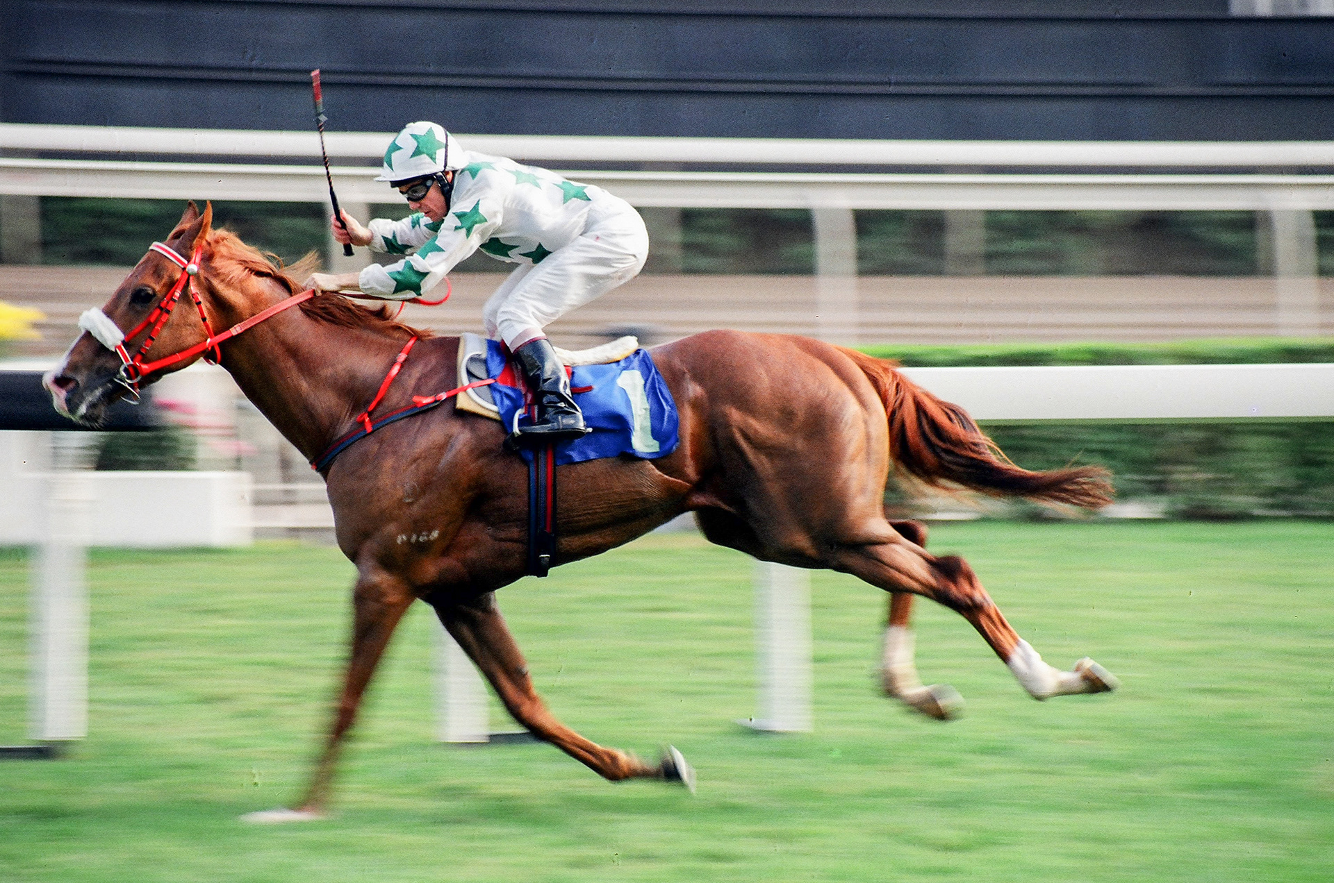  	 	SOLID CONTACT(B Marcus)實力派(馬佳善)