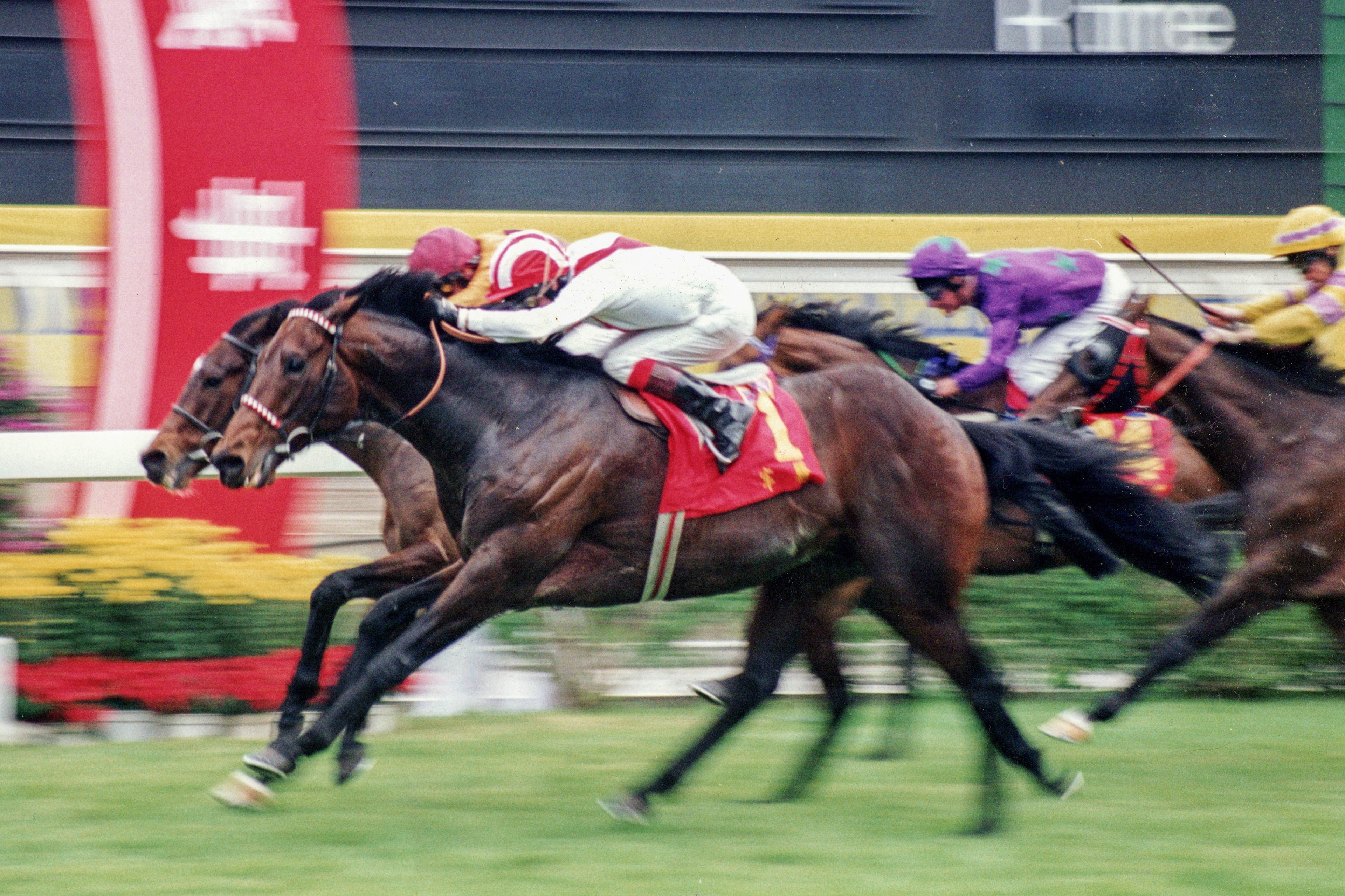  	 	LUSO(M Kinane)牢騷(靳能)