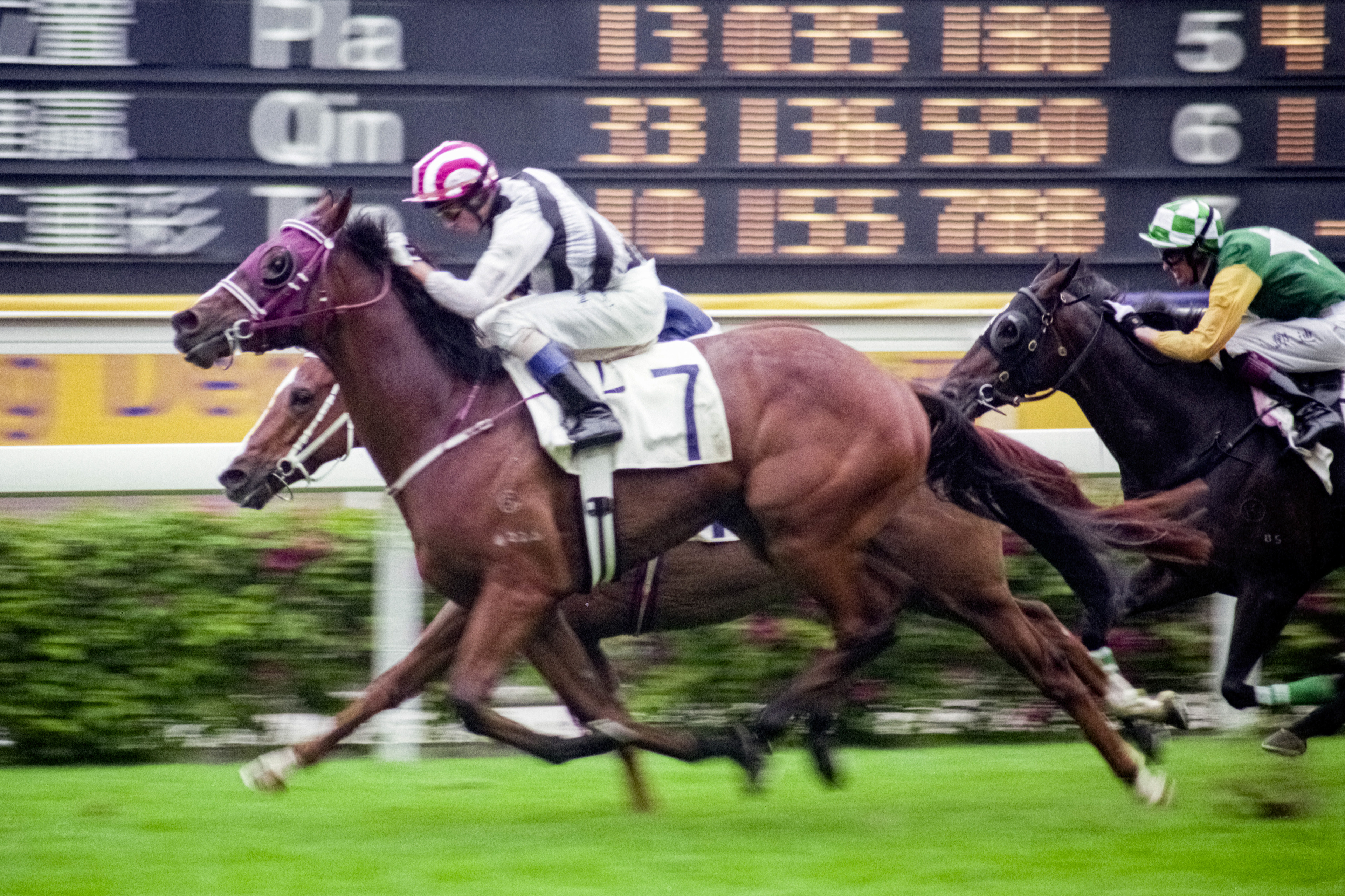  	 	XLERATE(D Whyte)雀躍(韋達)