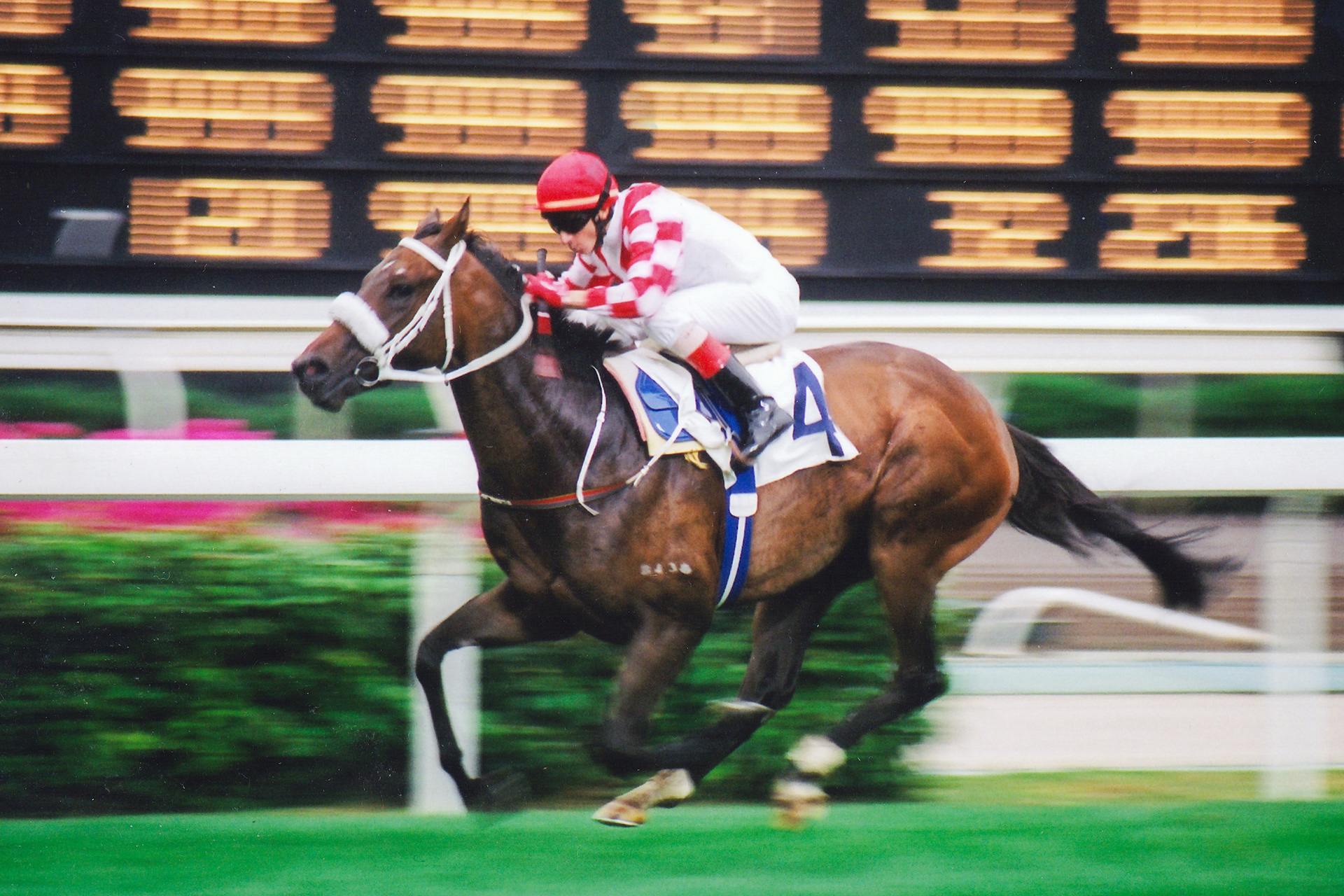  	 	BOWMAN'S CROSSING(D Whyte)祝福(韋達)