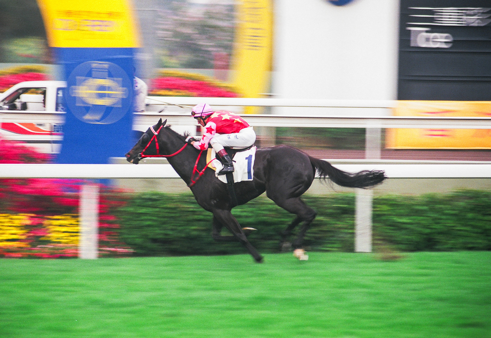  	 	ELECTRONIC UNICORN(R Fradd)電子麒麟(霍達)