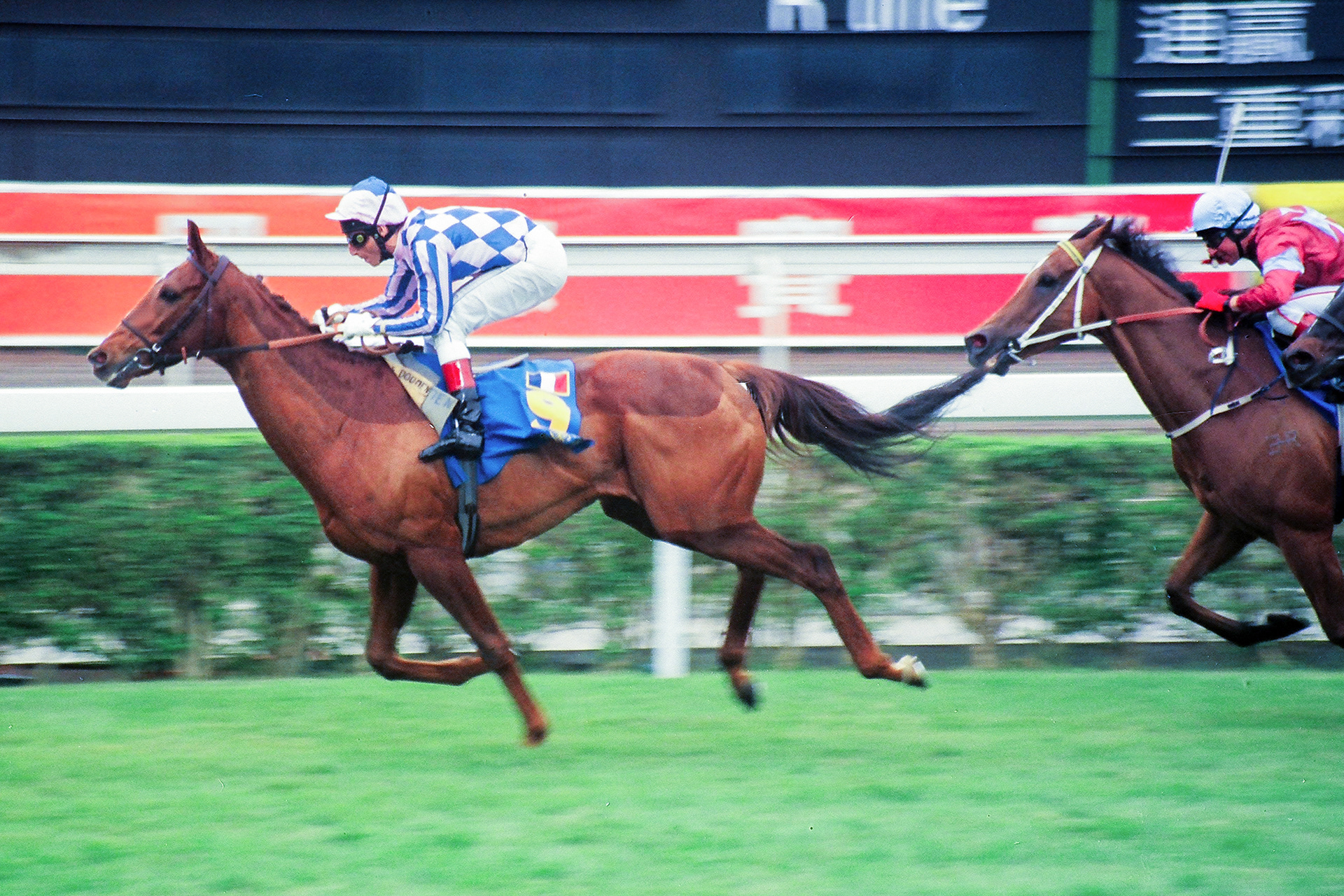  	 	JIM AND TONIC(G Mosse)雞尾酒(巫斯義)