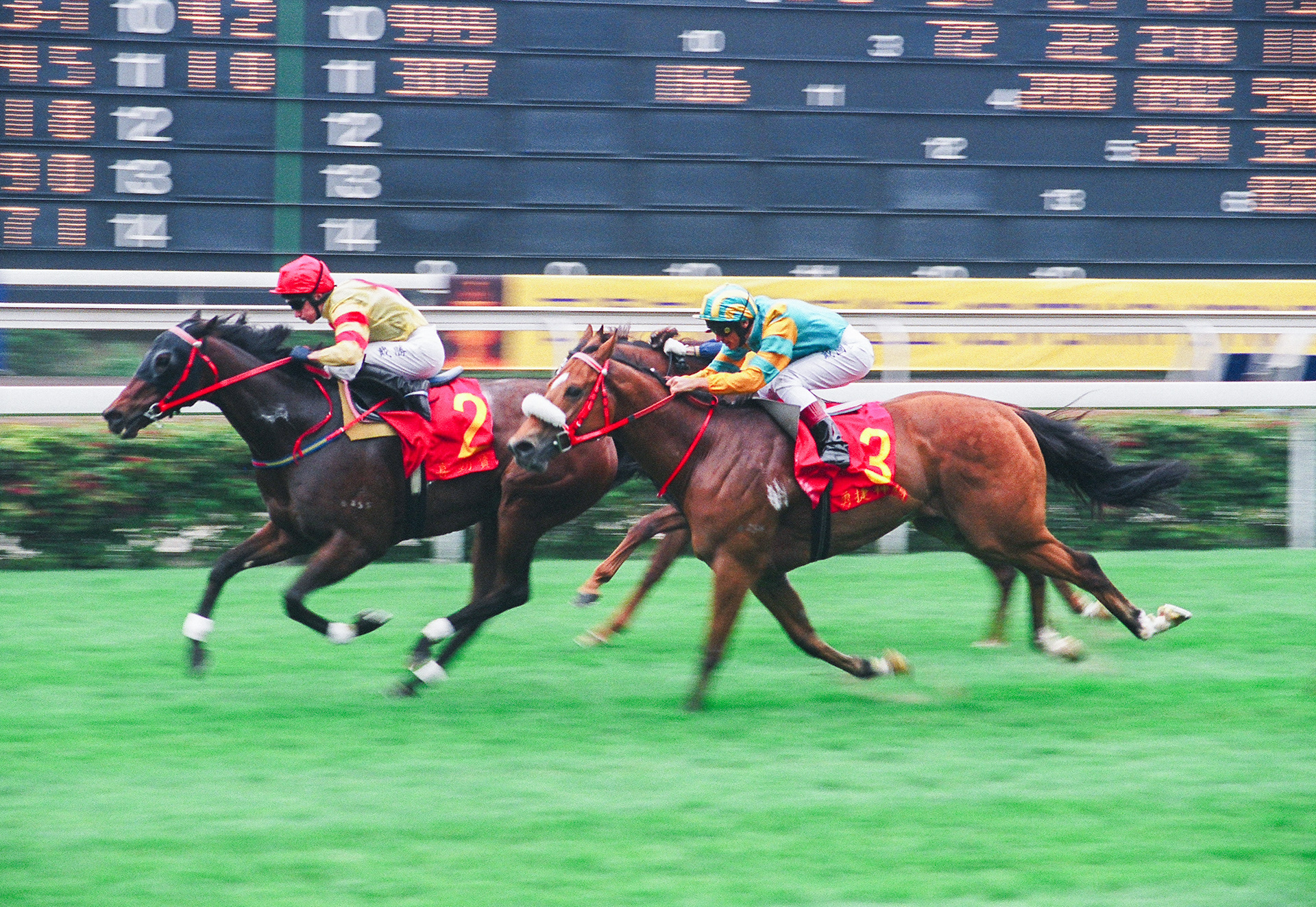  	 	GRAND DELIGHT(S Dye)喜勁寶(戴勝)