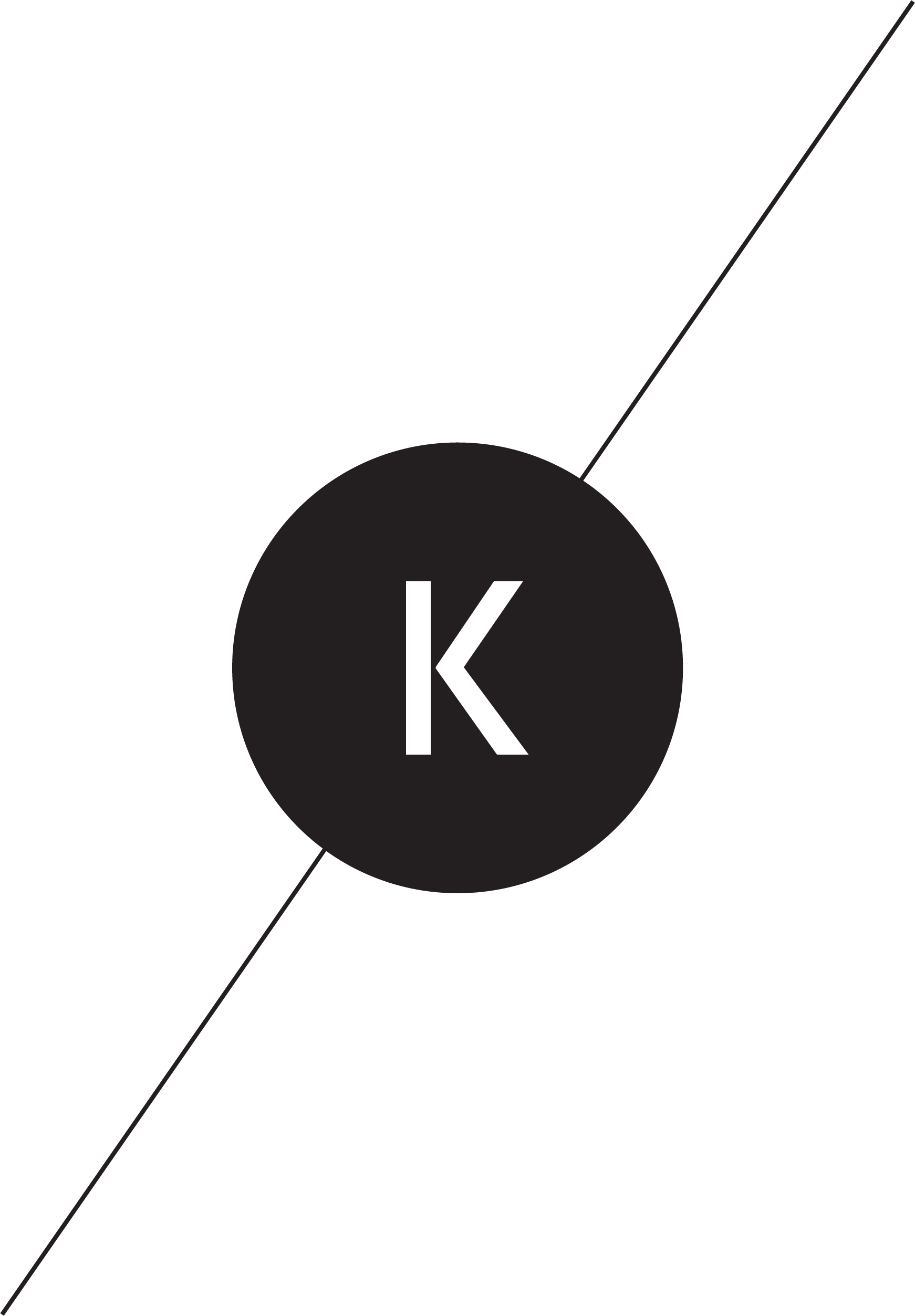 Karen Tse