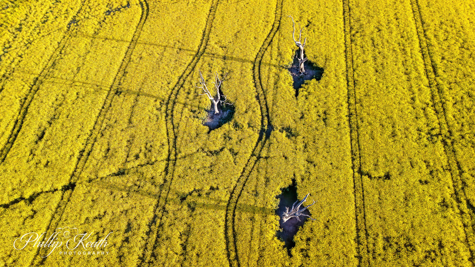 Dodging the trees Image 21