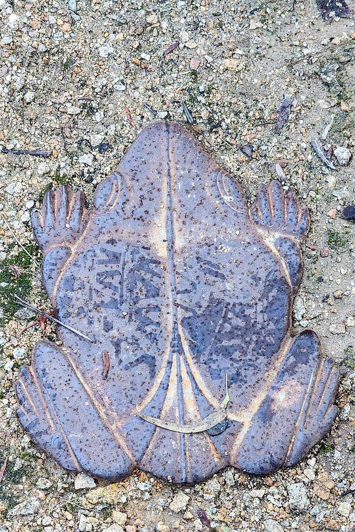 Around the cottage Image 8