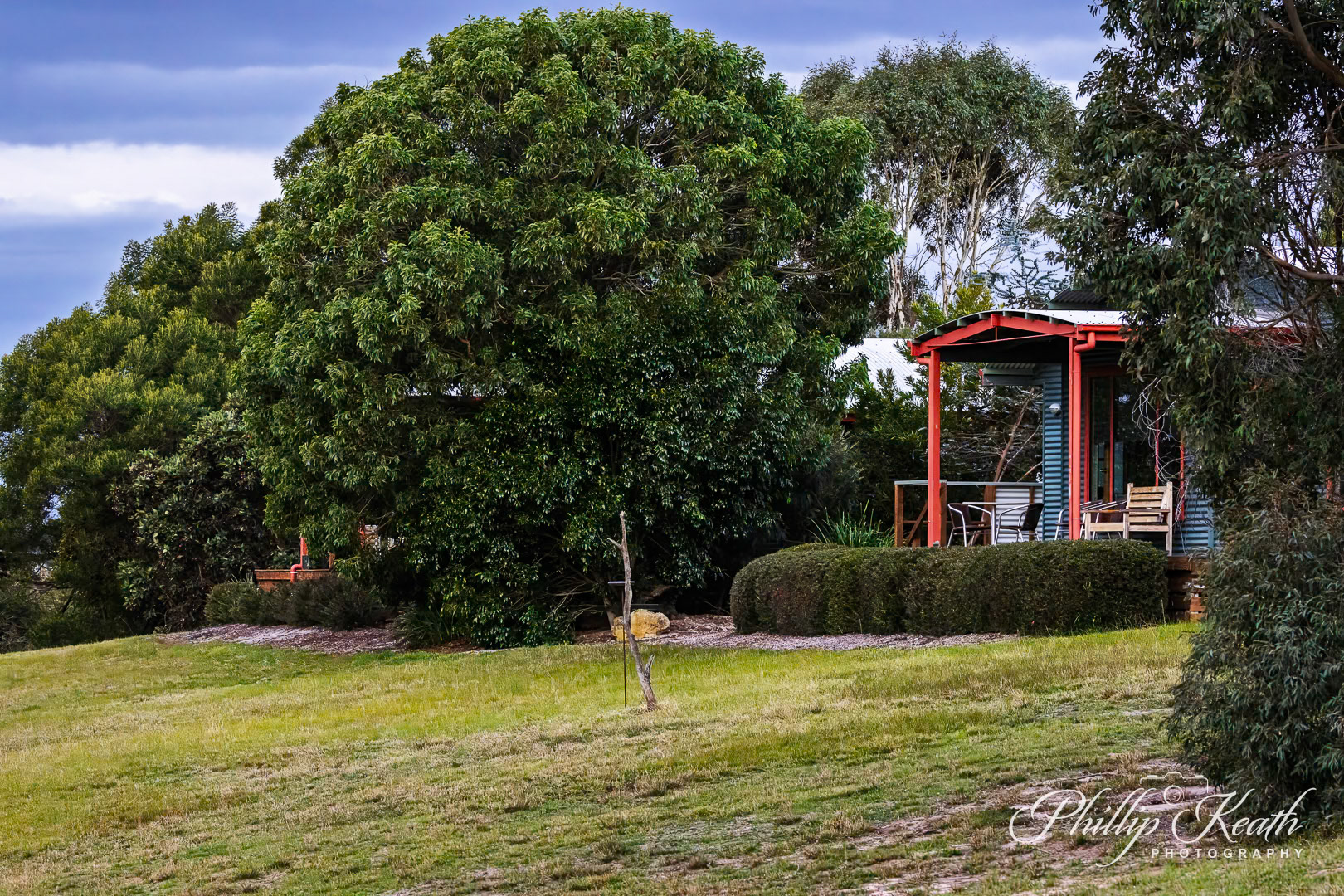 Cottages amongst the trees Image 11