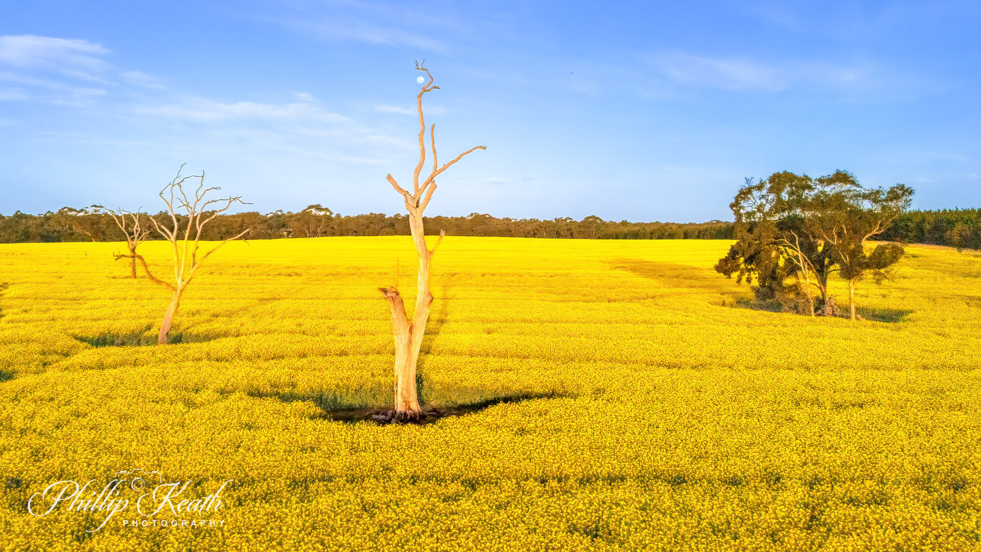 Catching the Moon Image 22