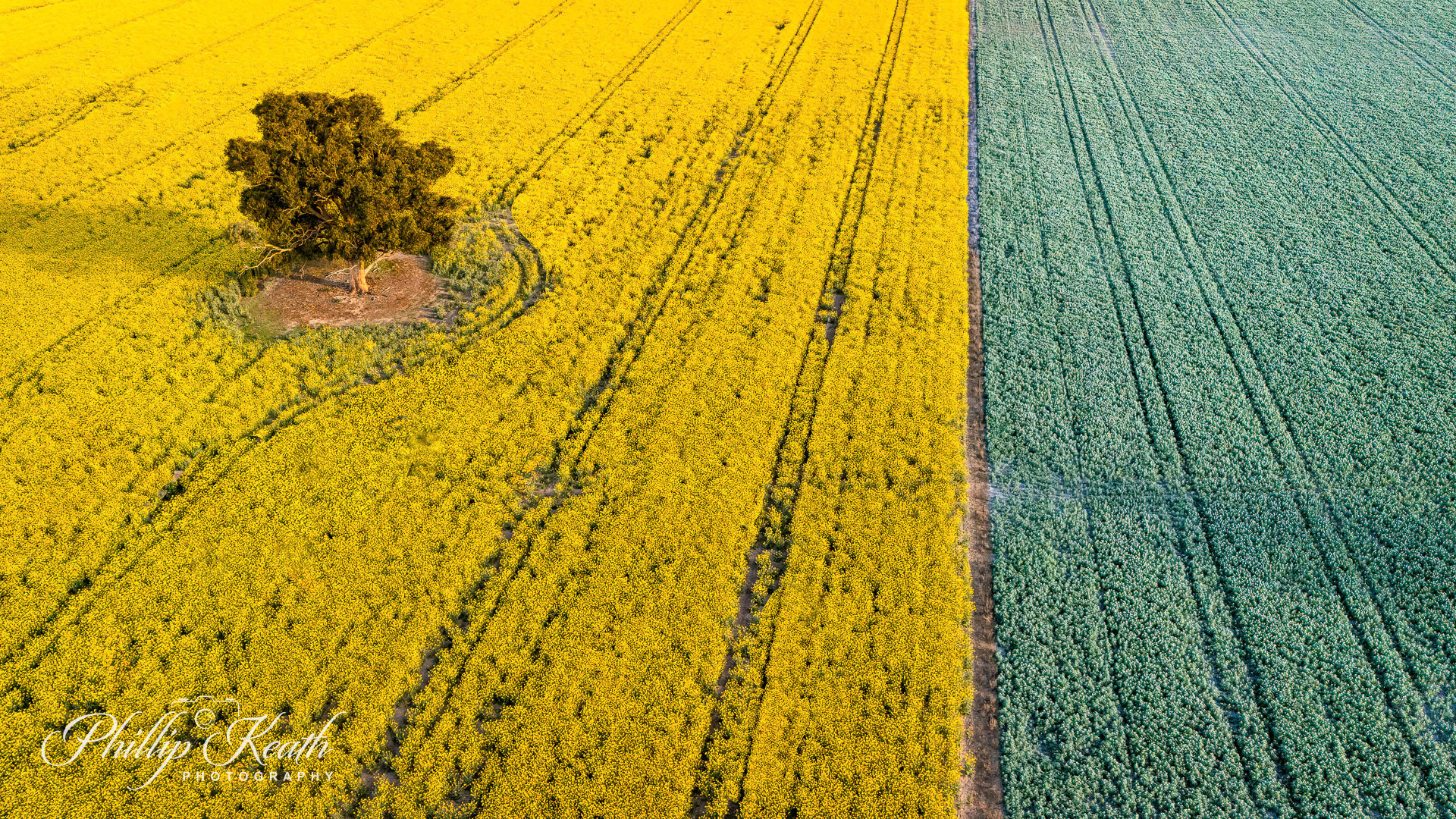 Mostly Straight Image 17