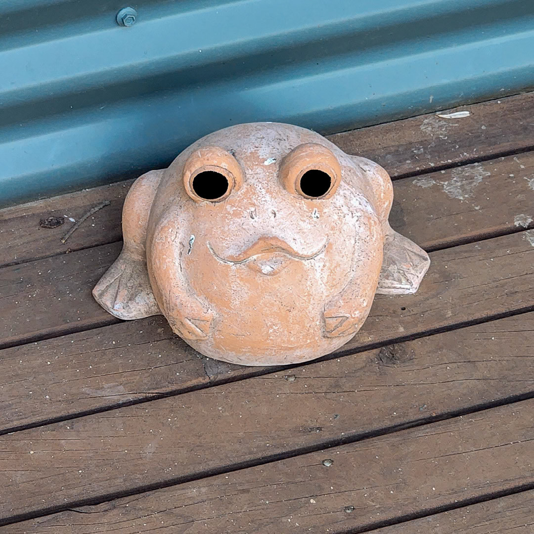 Around the cottage Image 9