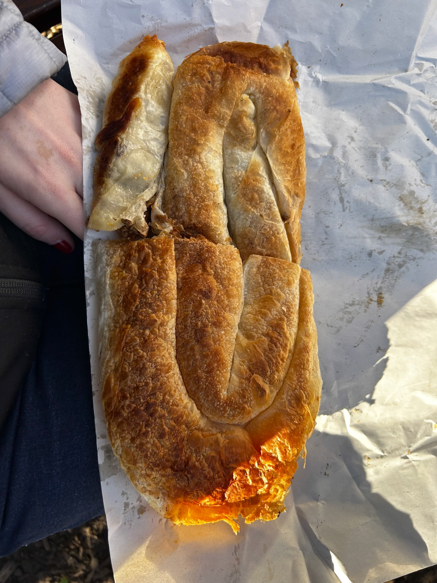 Meat Burek