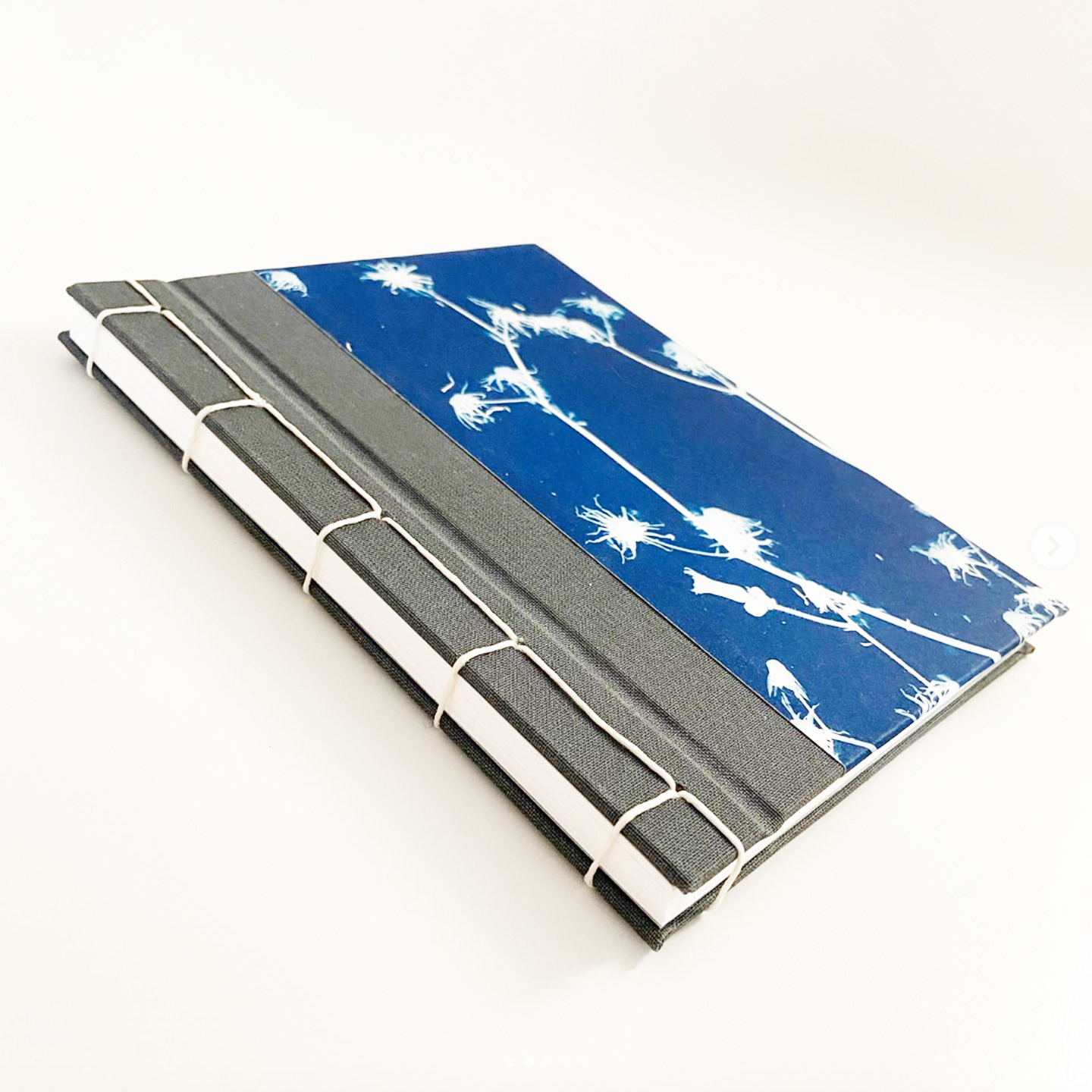 Japanese Stab Binding