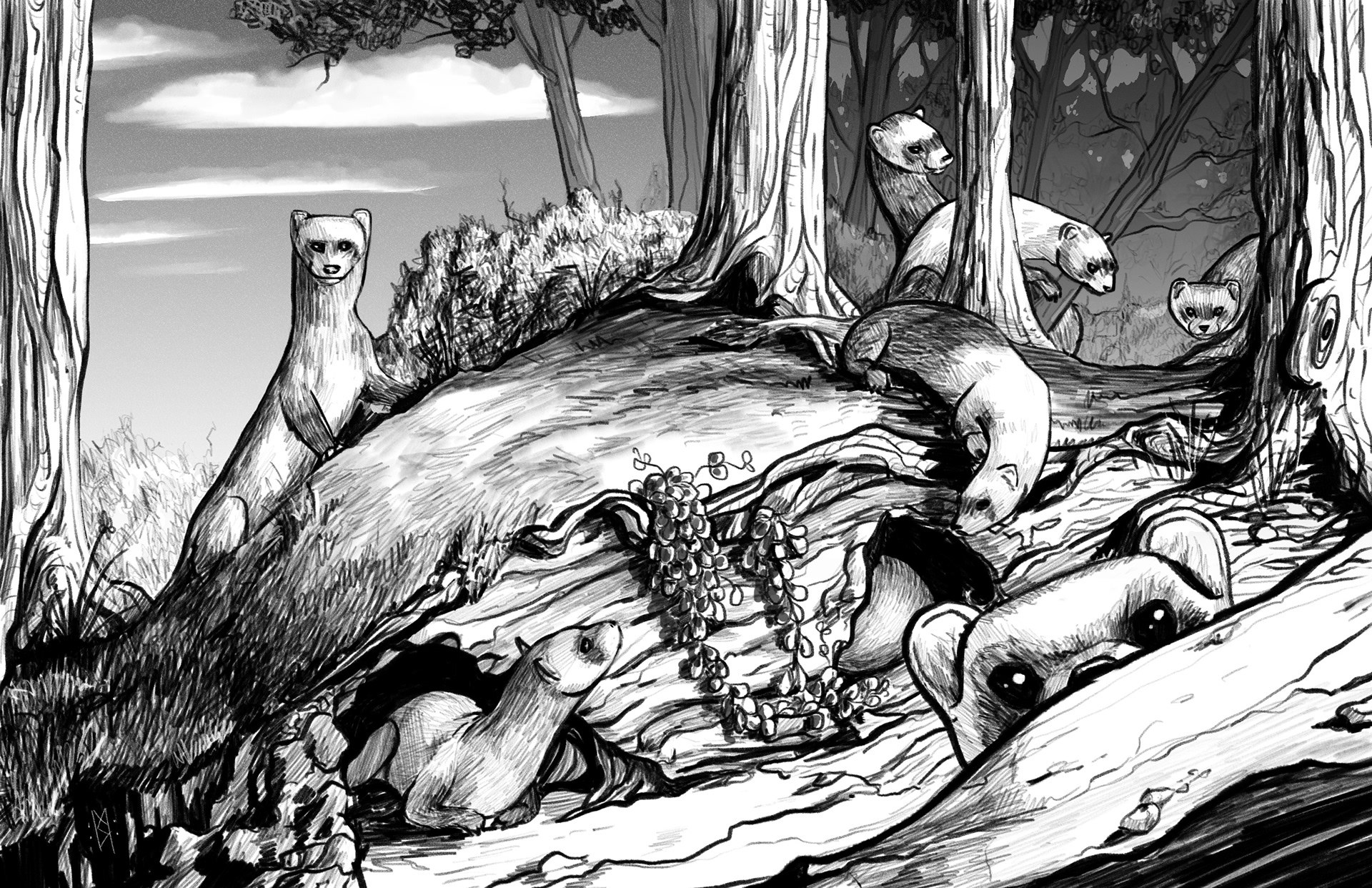 Giant Ferrets-Basilisk Hills