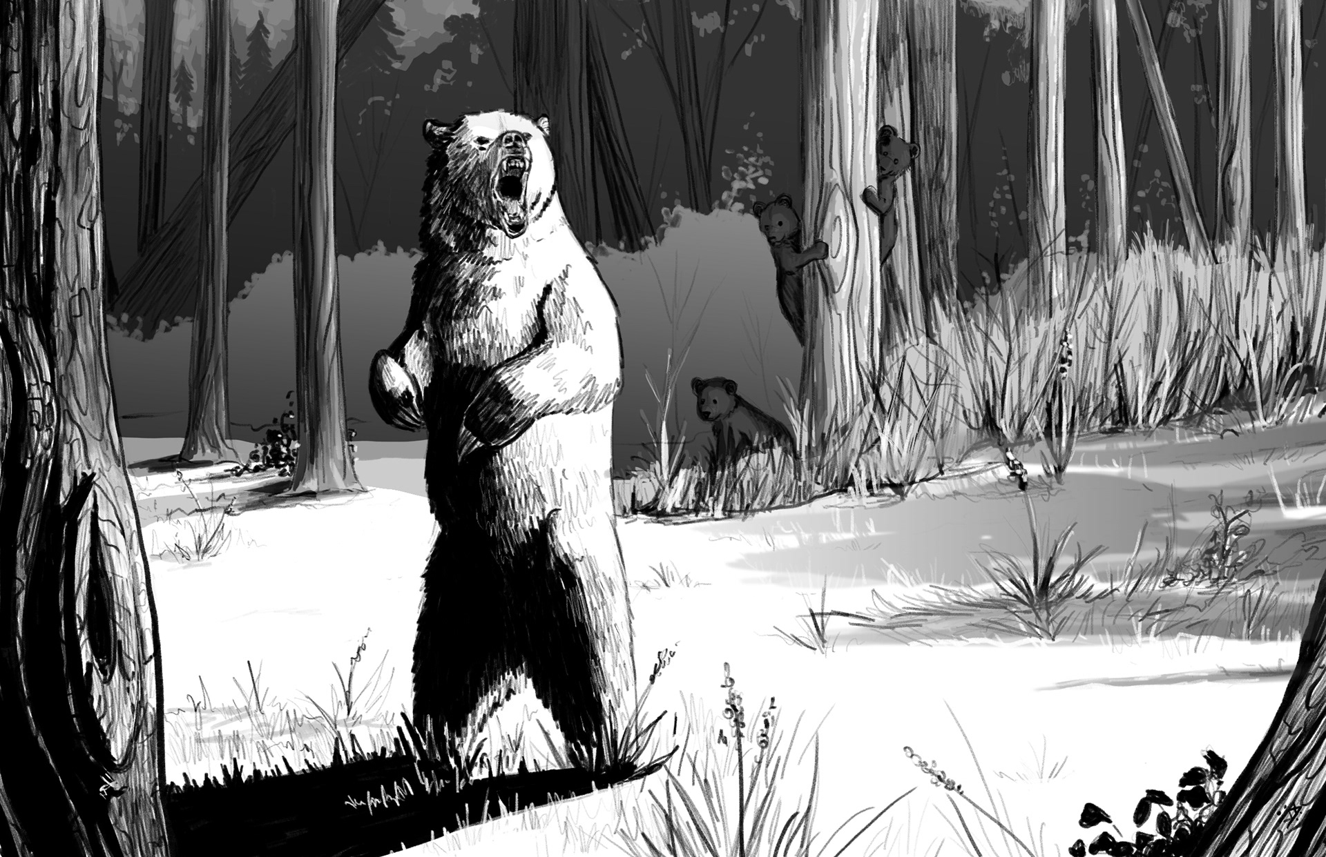 Bear-Basilisk Hills