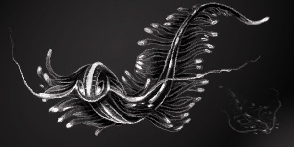 Aether Worm