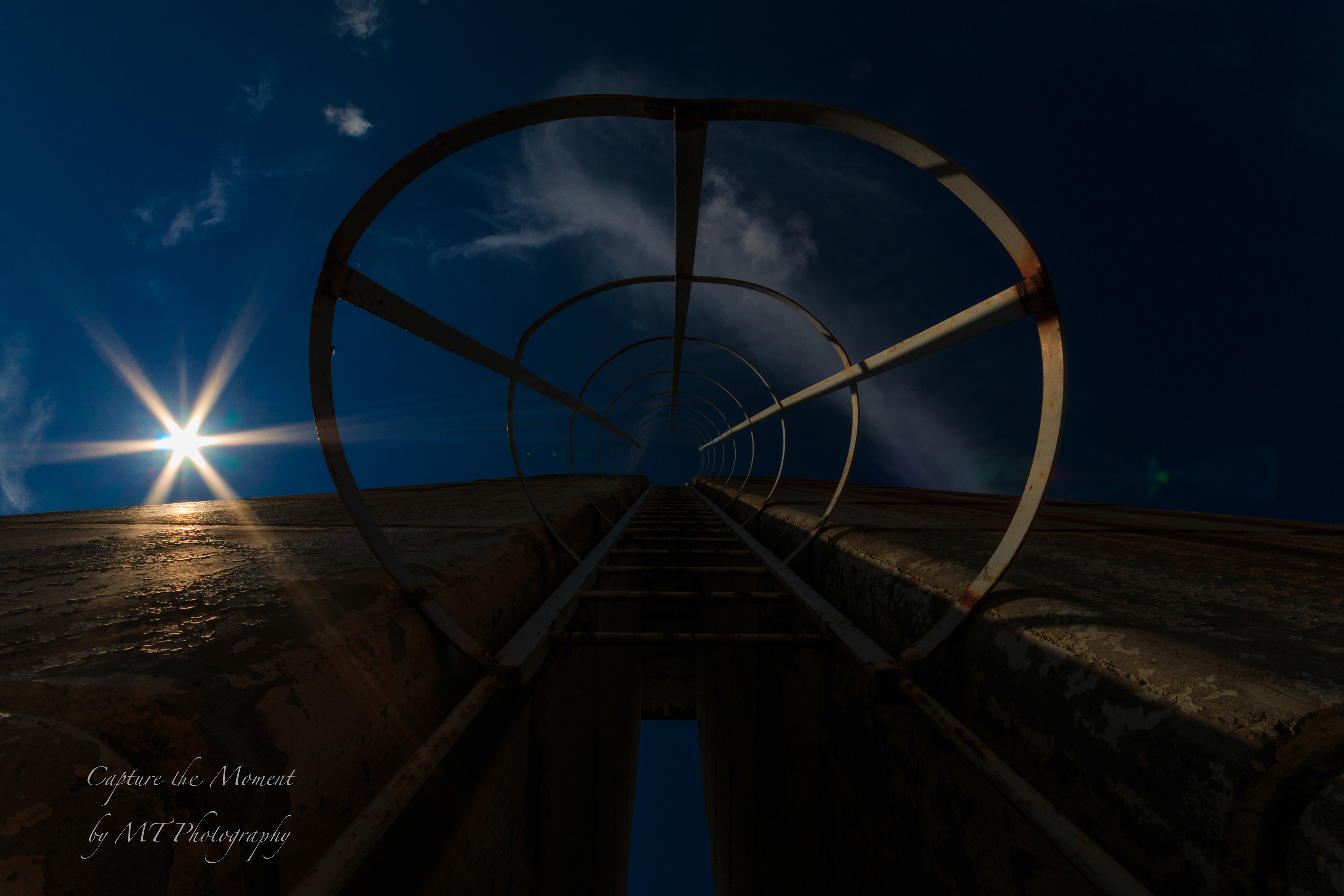 ladder 