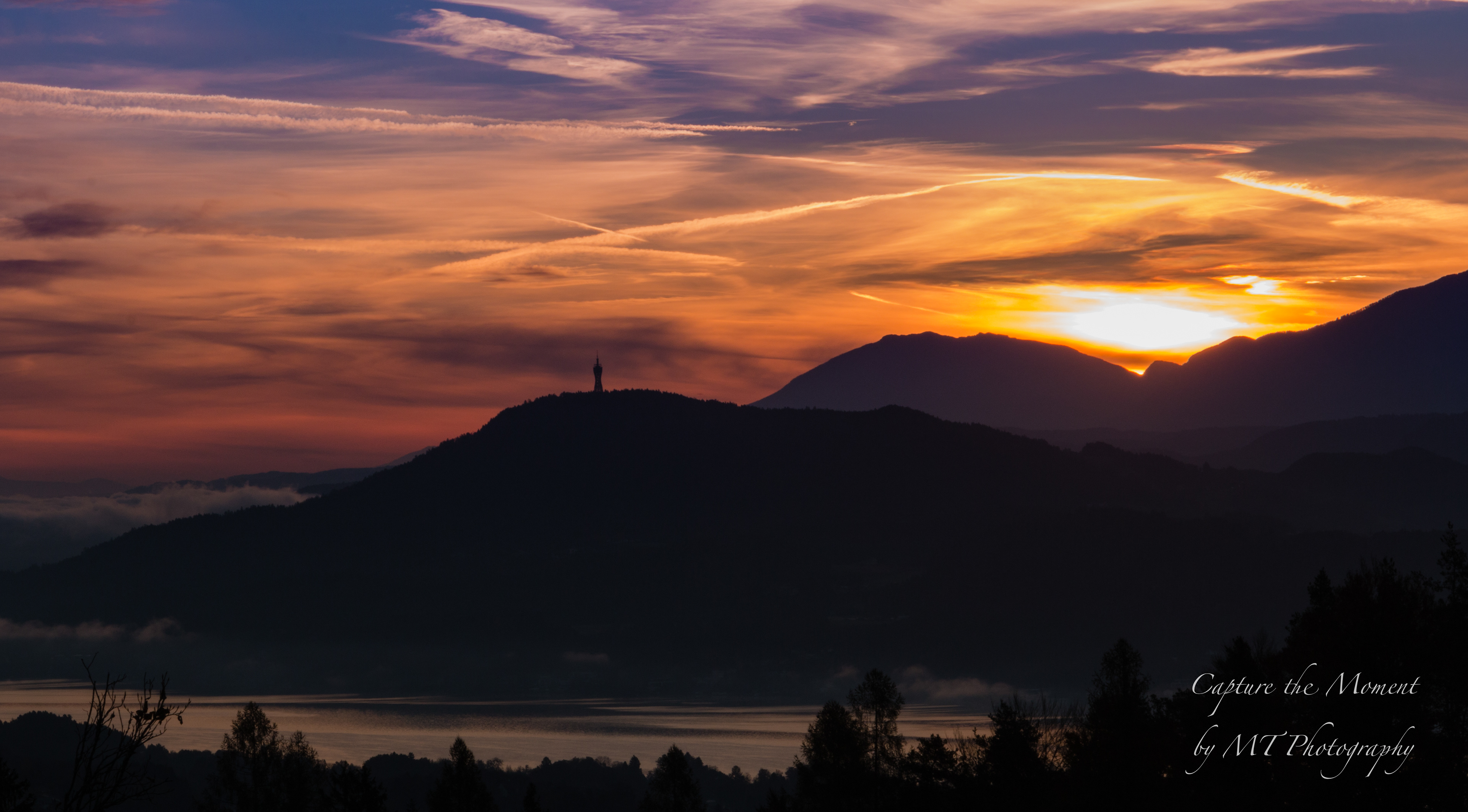 View from Sternberg 