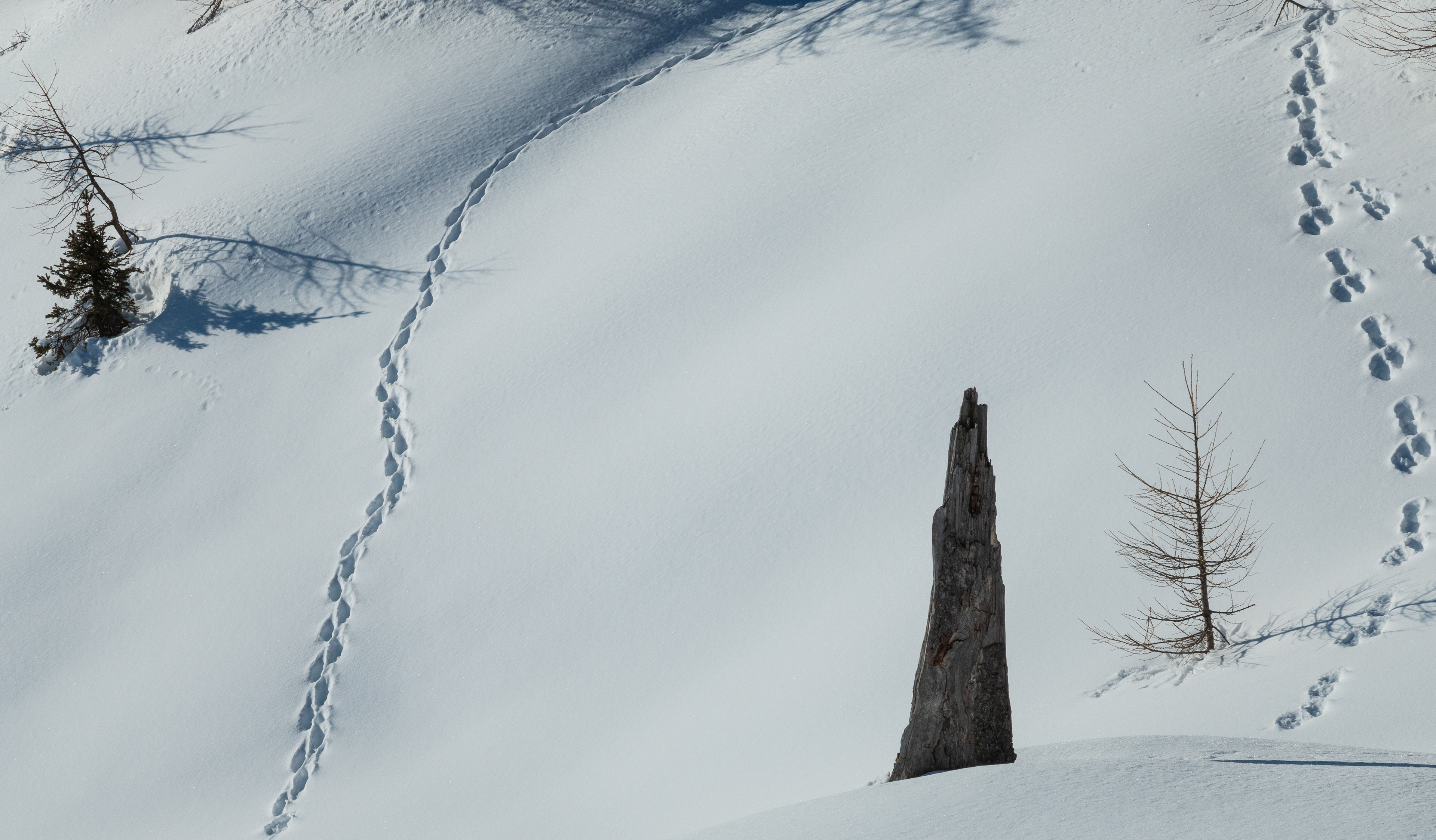 traces