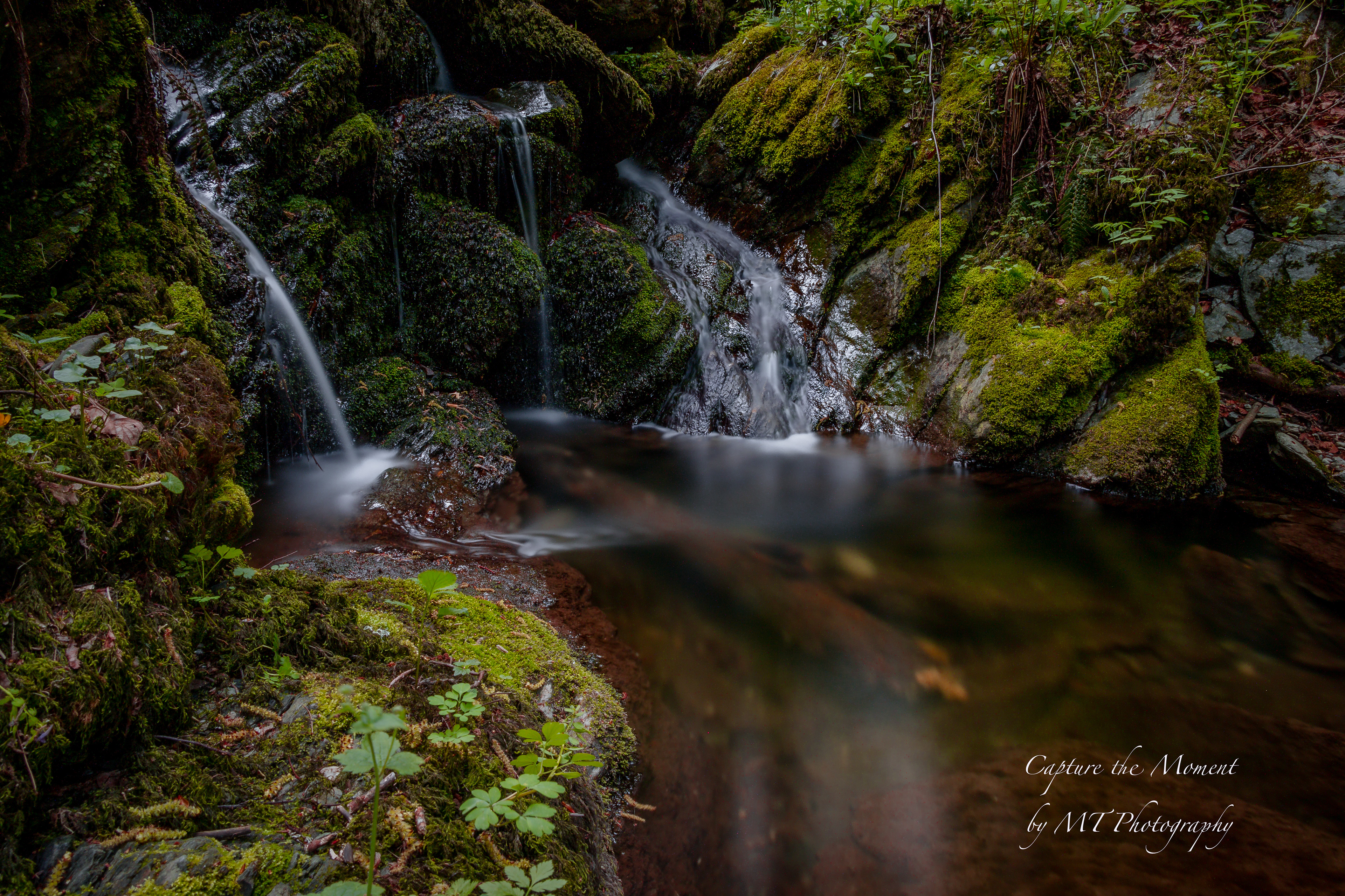 little creek
