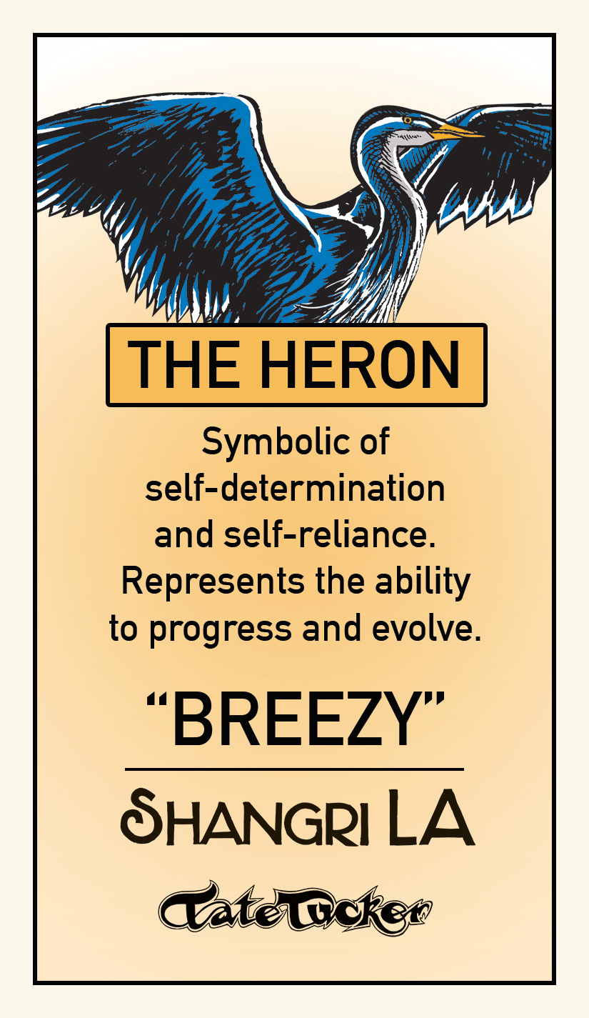 Back of the "Breezy" Tarot Card