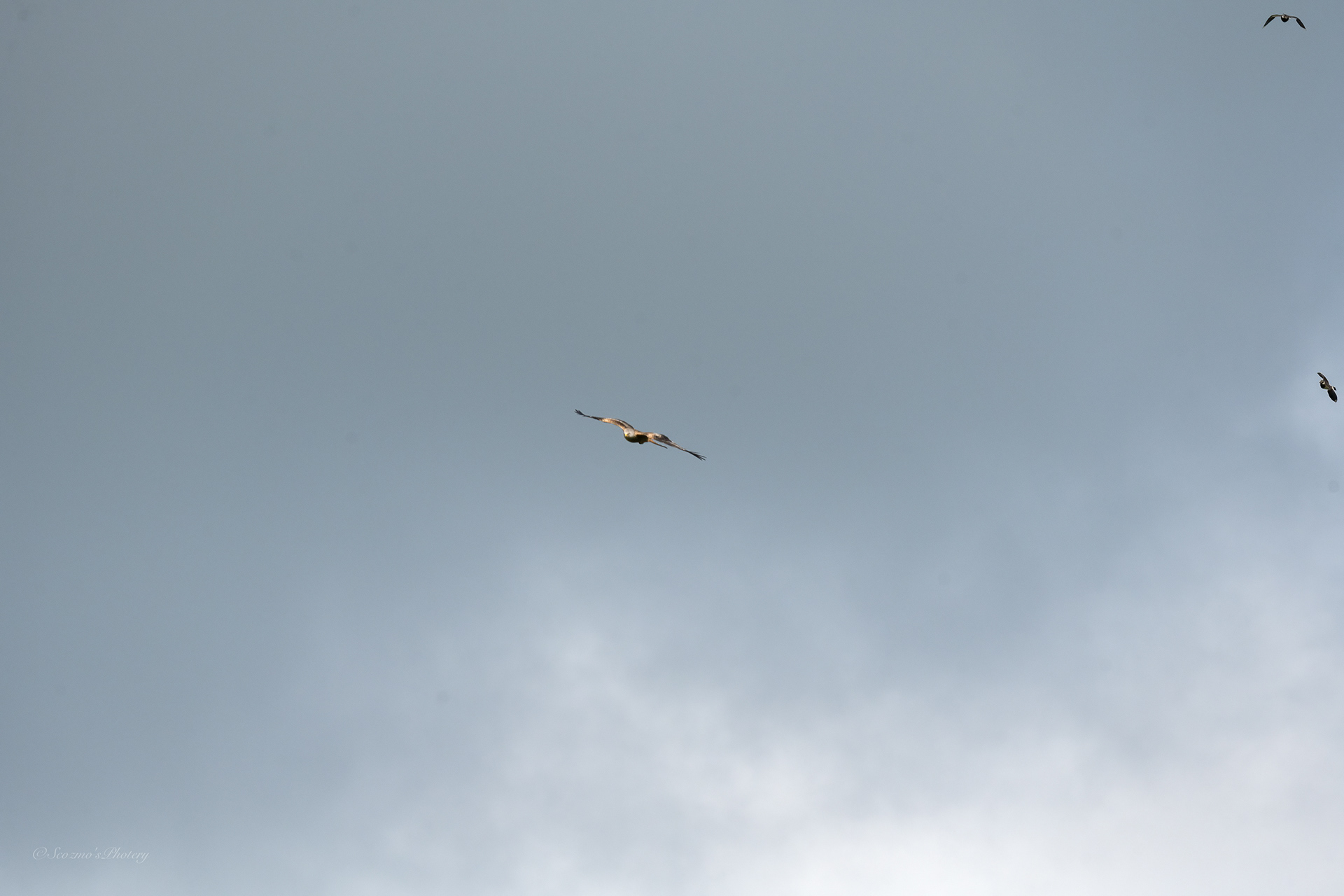 Incoming