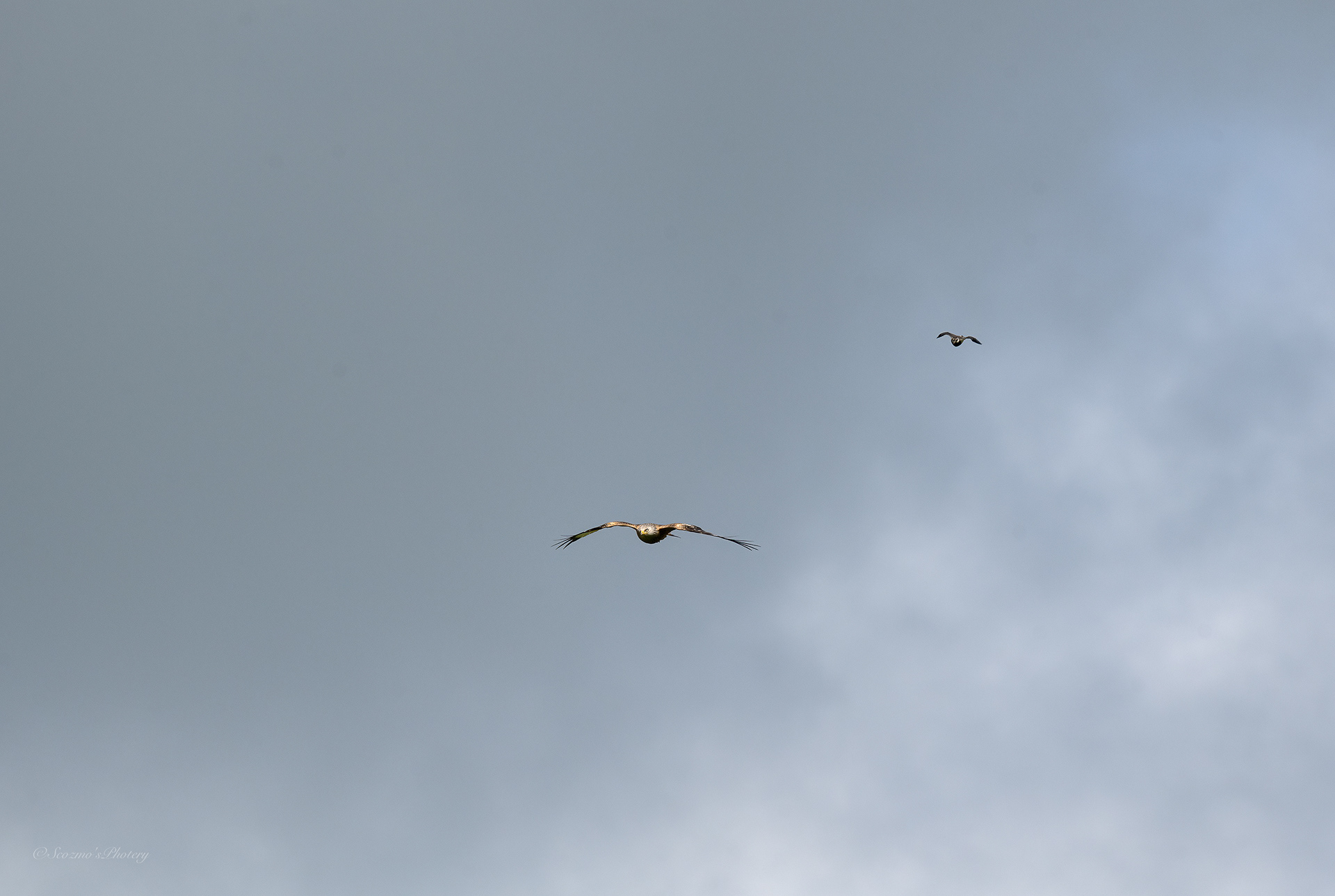 High and behind