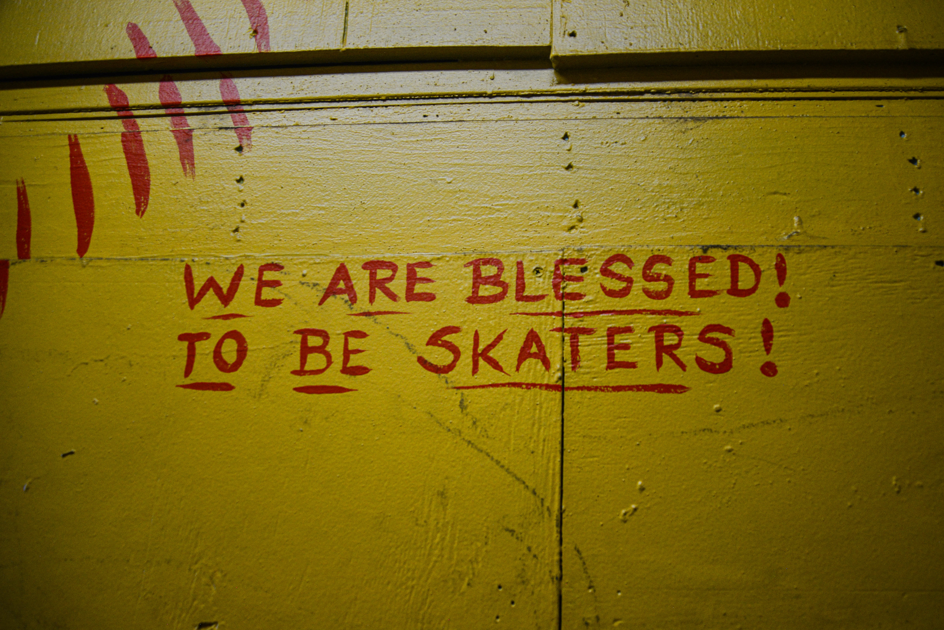 Go Skate Day. Skatepark of Tampa. Florida. June 21, 2025. (© SC Hagerty)