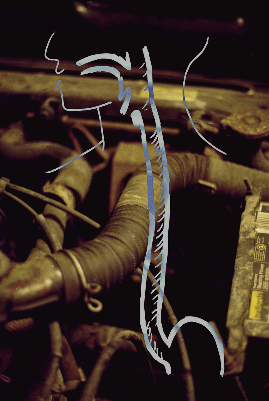 Esophagus / Air Intake