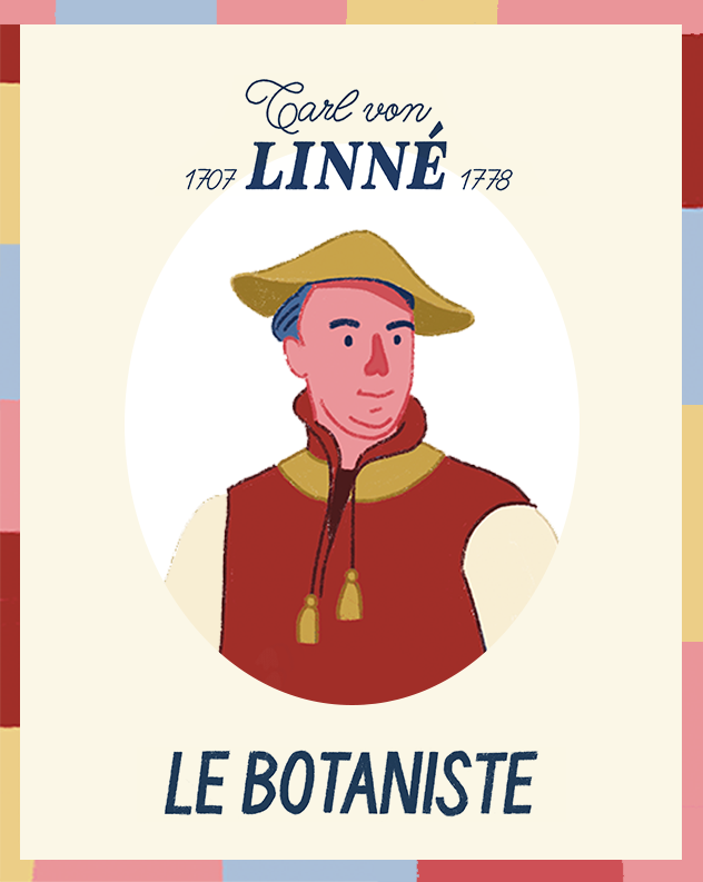 Le botaniste, peinture digitale, 2025