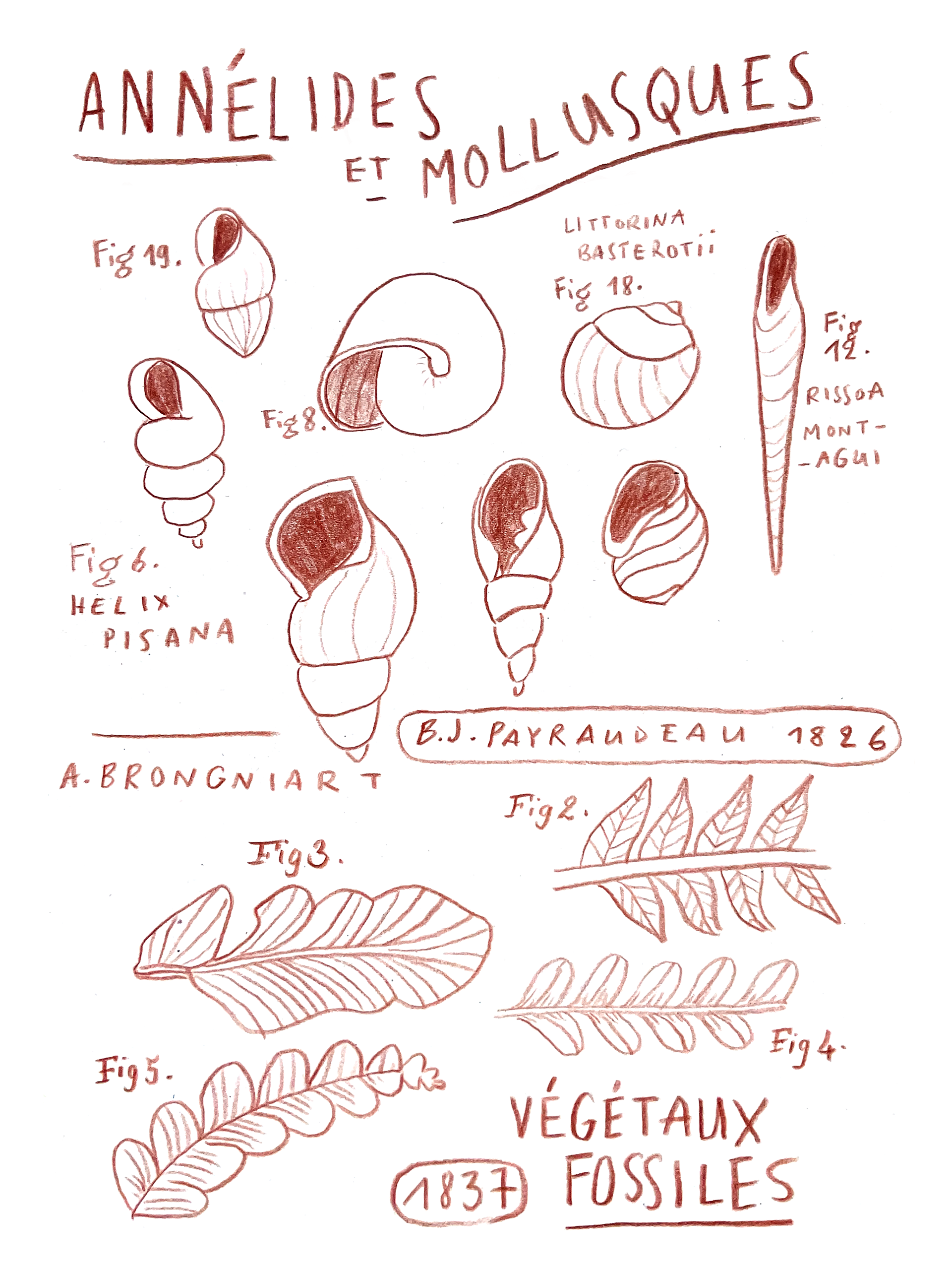 carnet de croquis, crayon, 2024