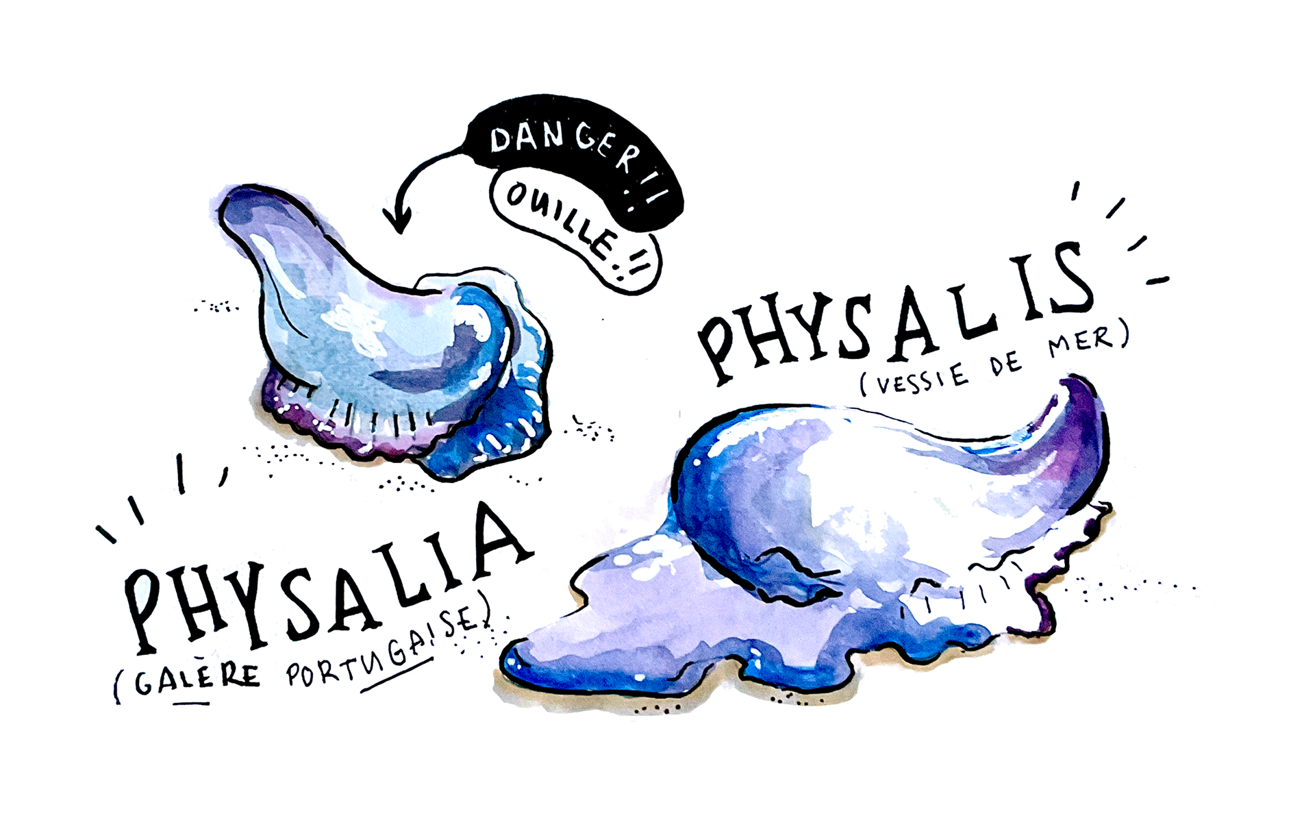 carnet de croquis, aquarelle et feutres, 2019