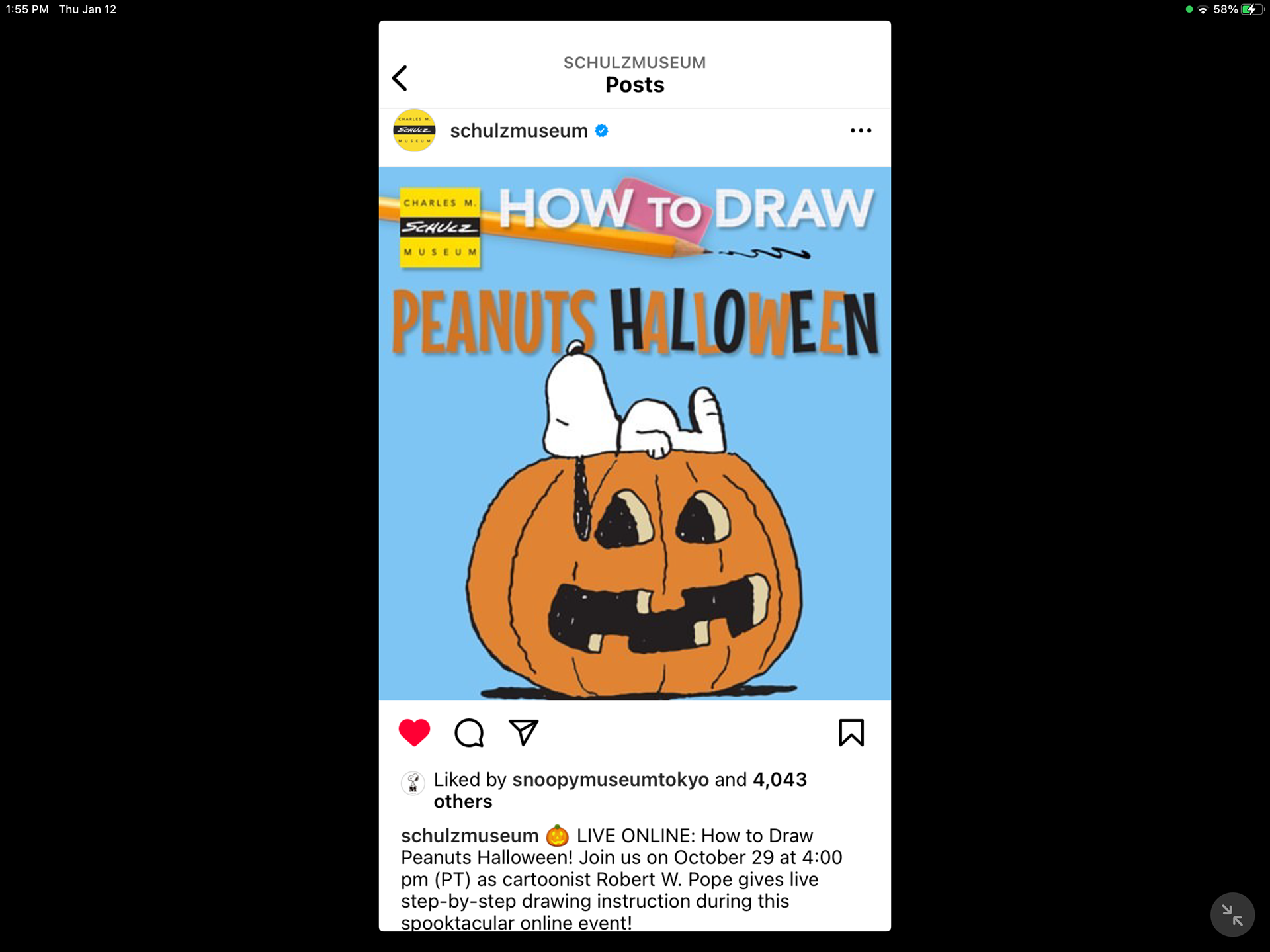 Schulz Museum On-line drawing class