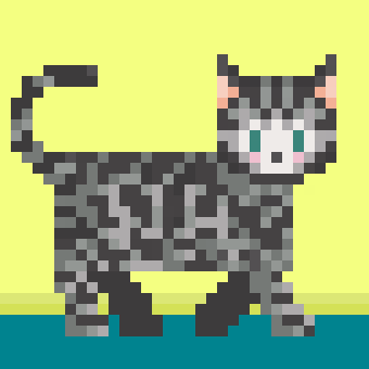Apollo, The Bengal Cat (2022)