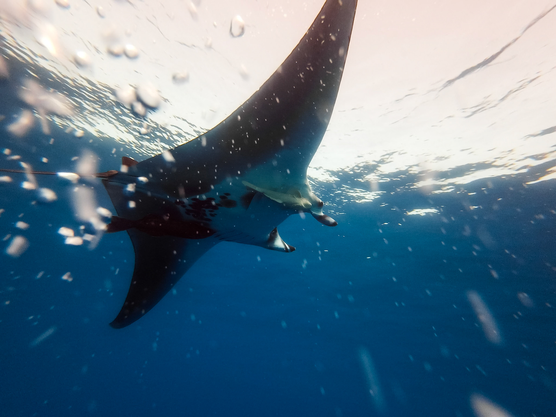 Hisi 4K Camera