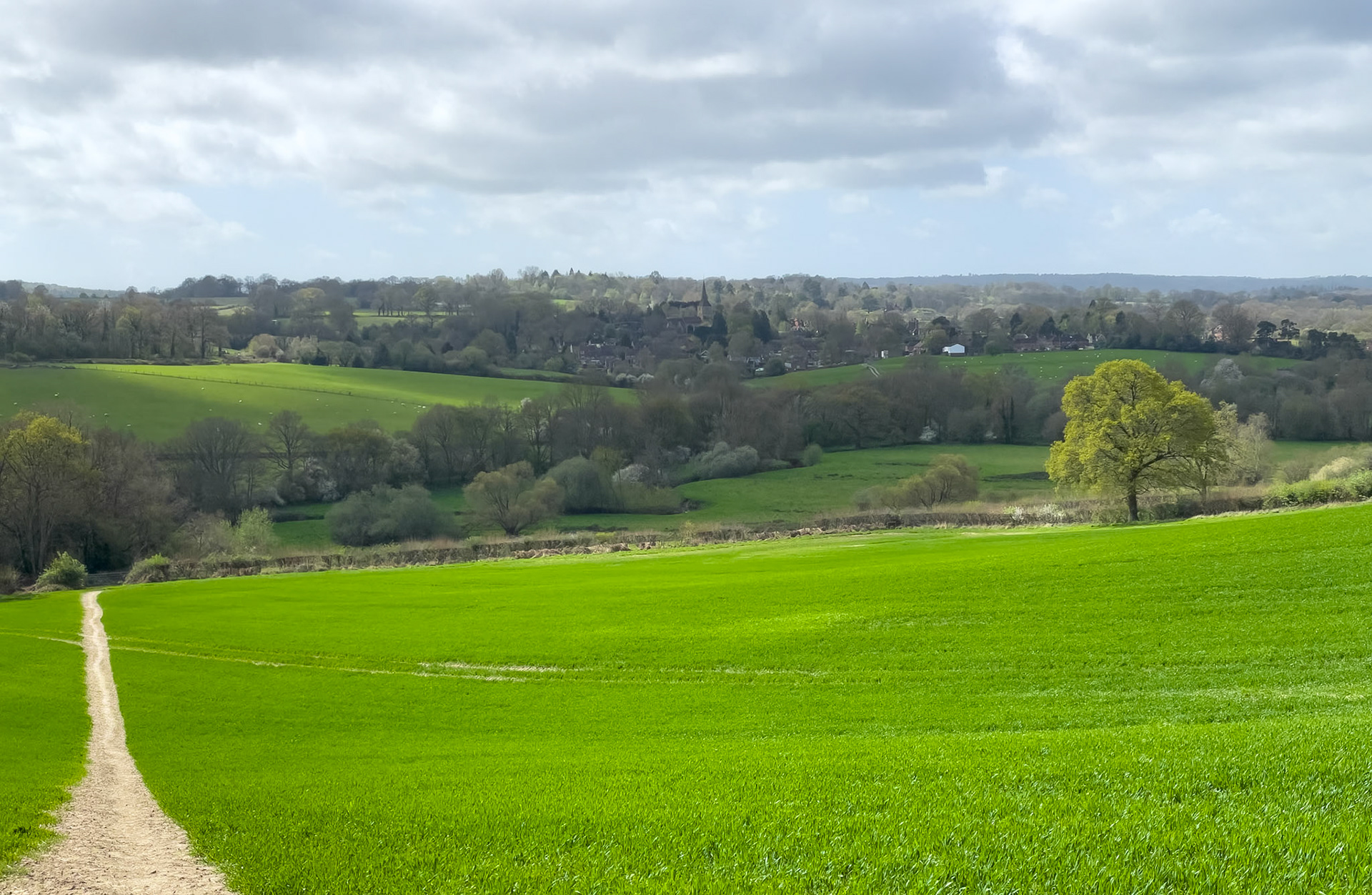 All routes - approach to Hartfield