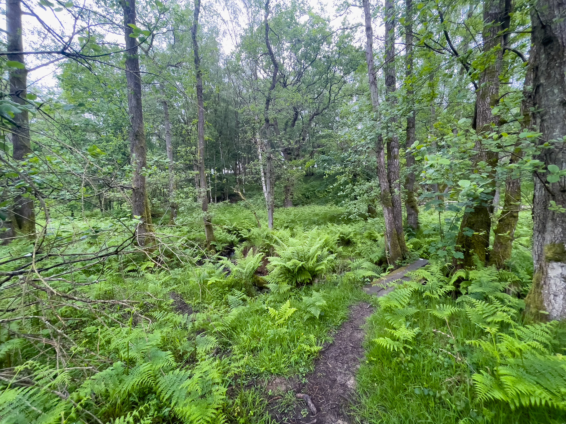 26 mile route - Eridge